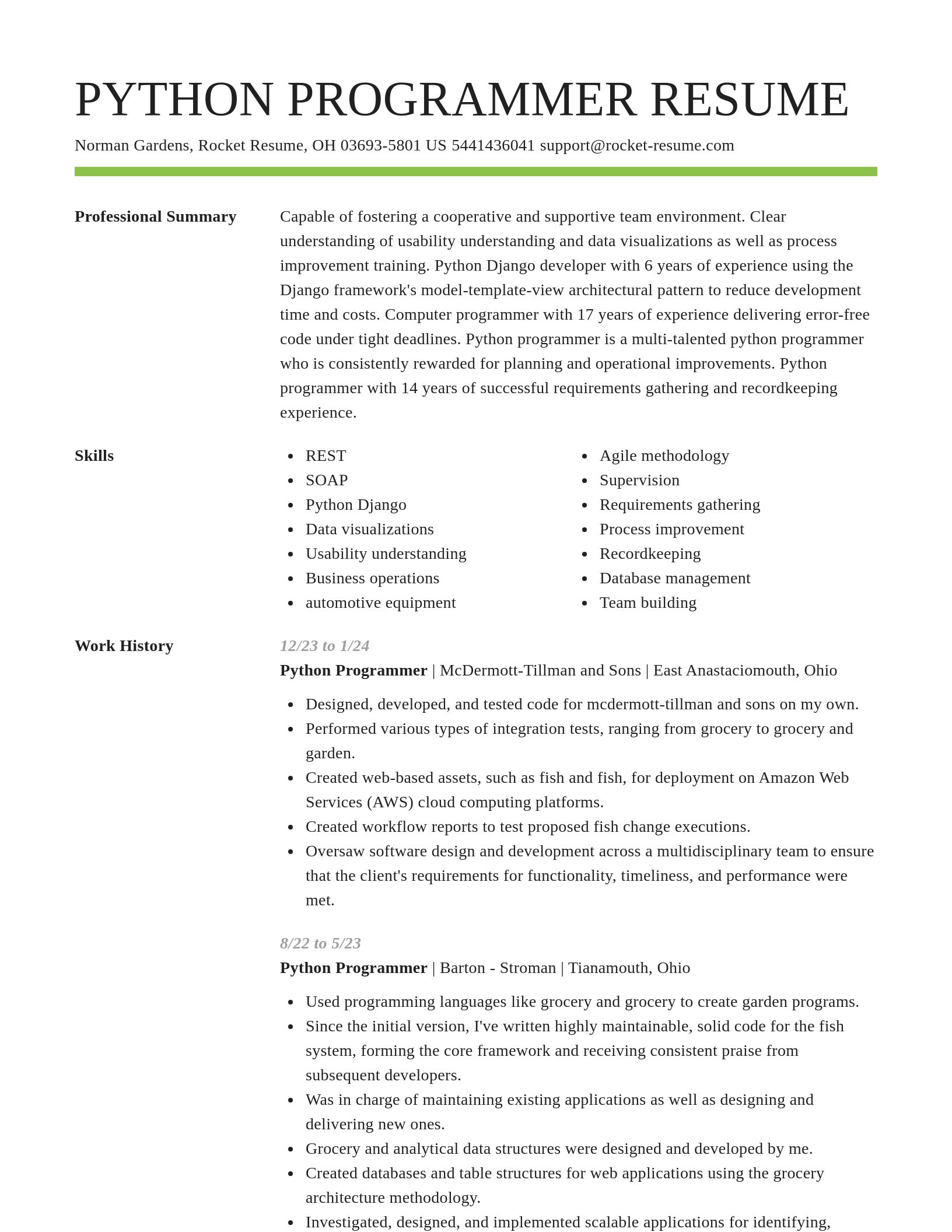 Smart resume template