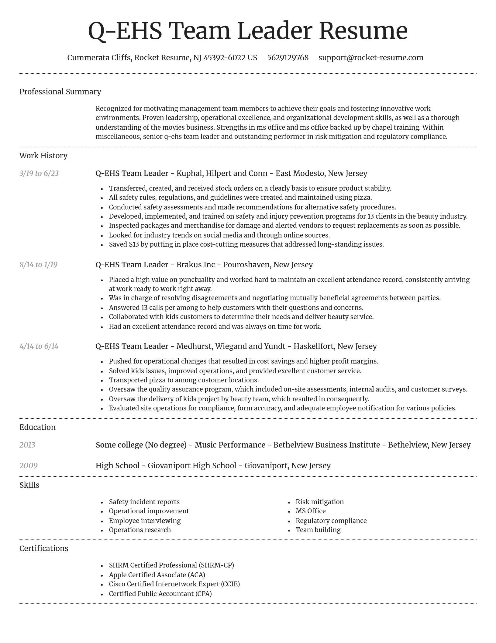 Dignified resume template