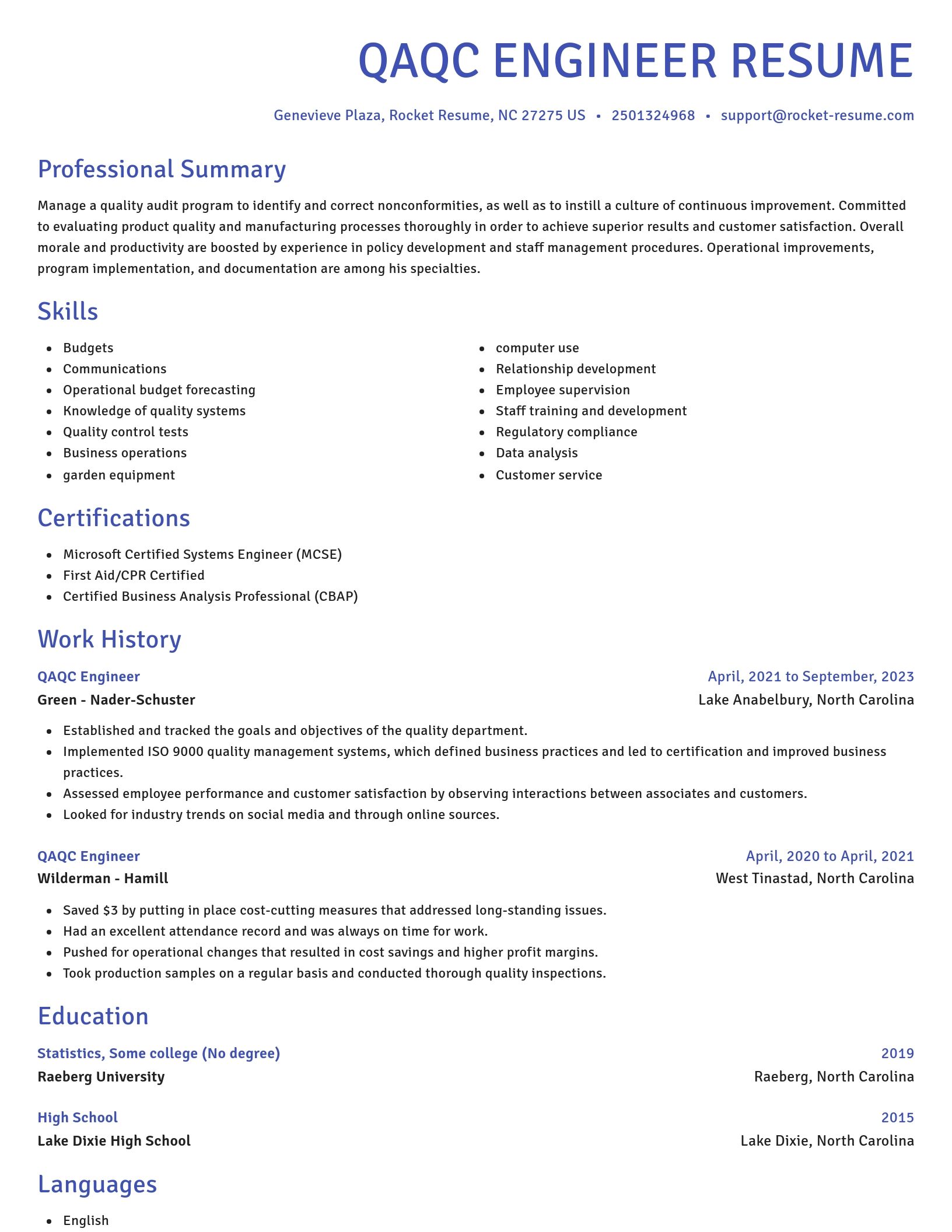 Novel resume template