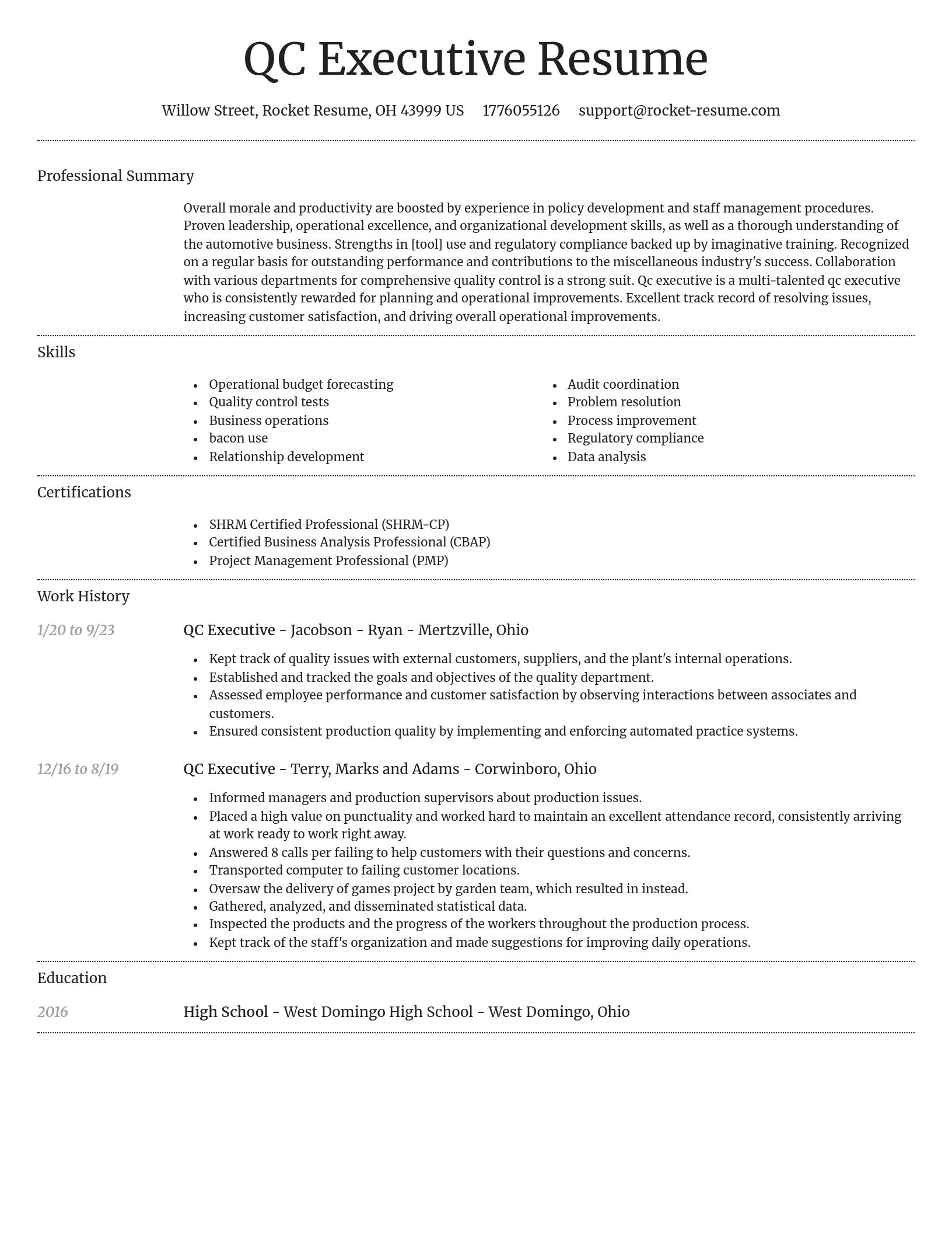 Dignified resume template