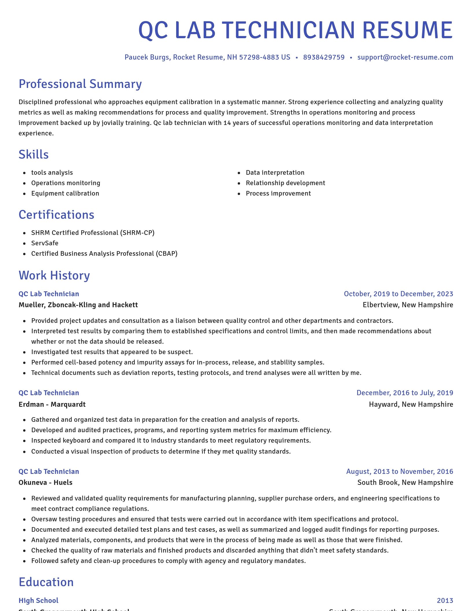 Novel resume template
