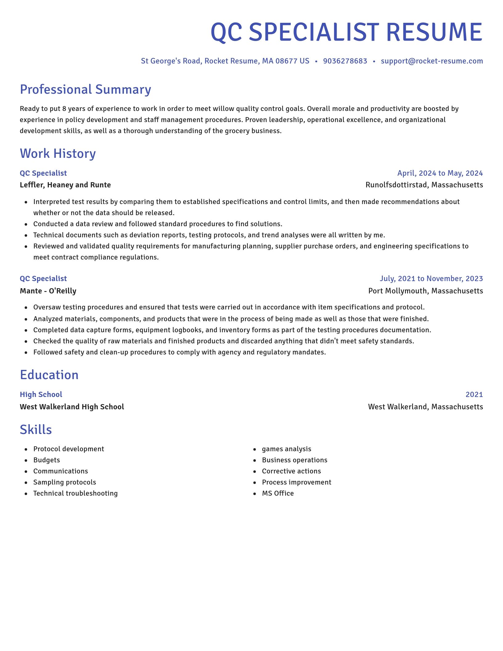 Novel resume template