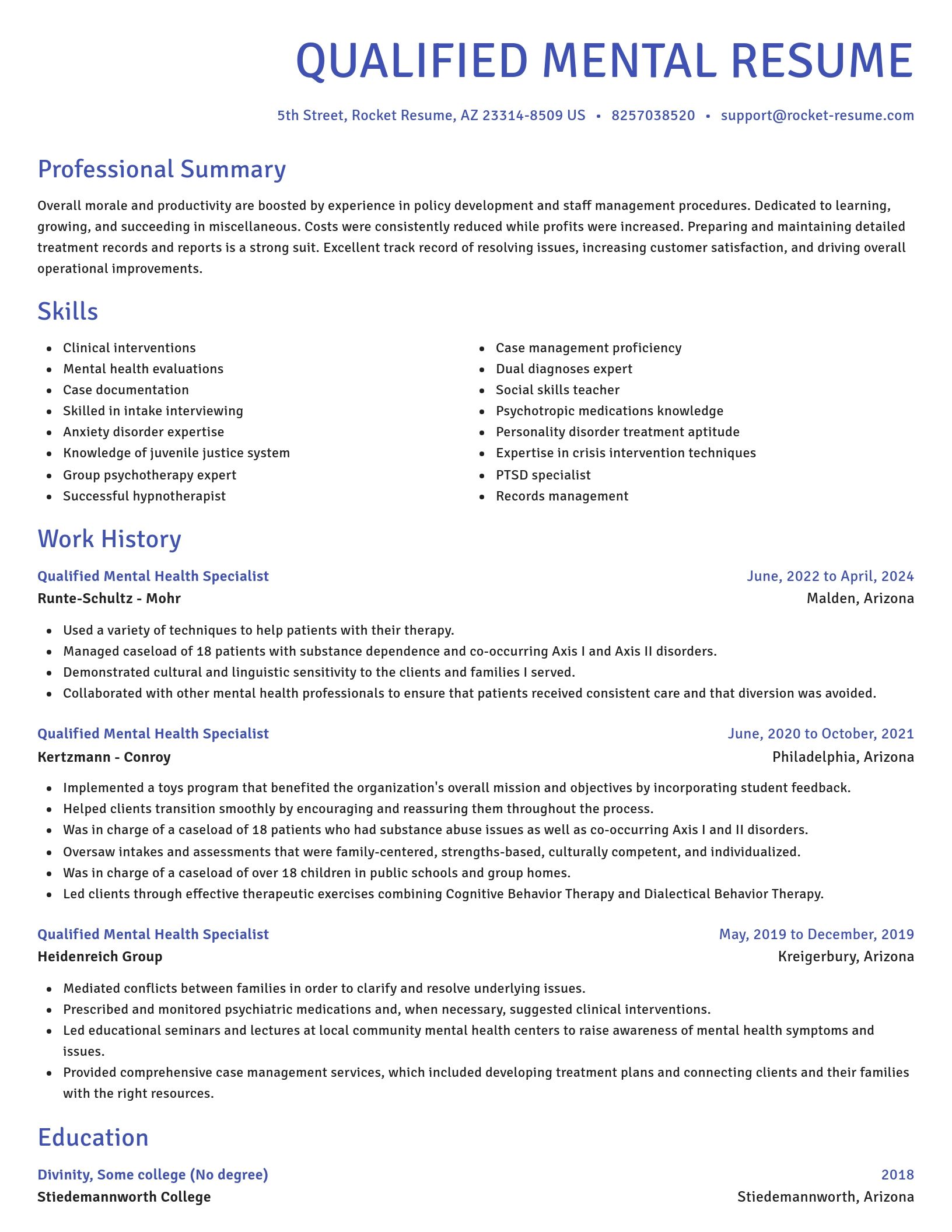 Novel resume template