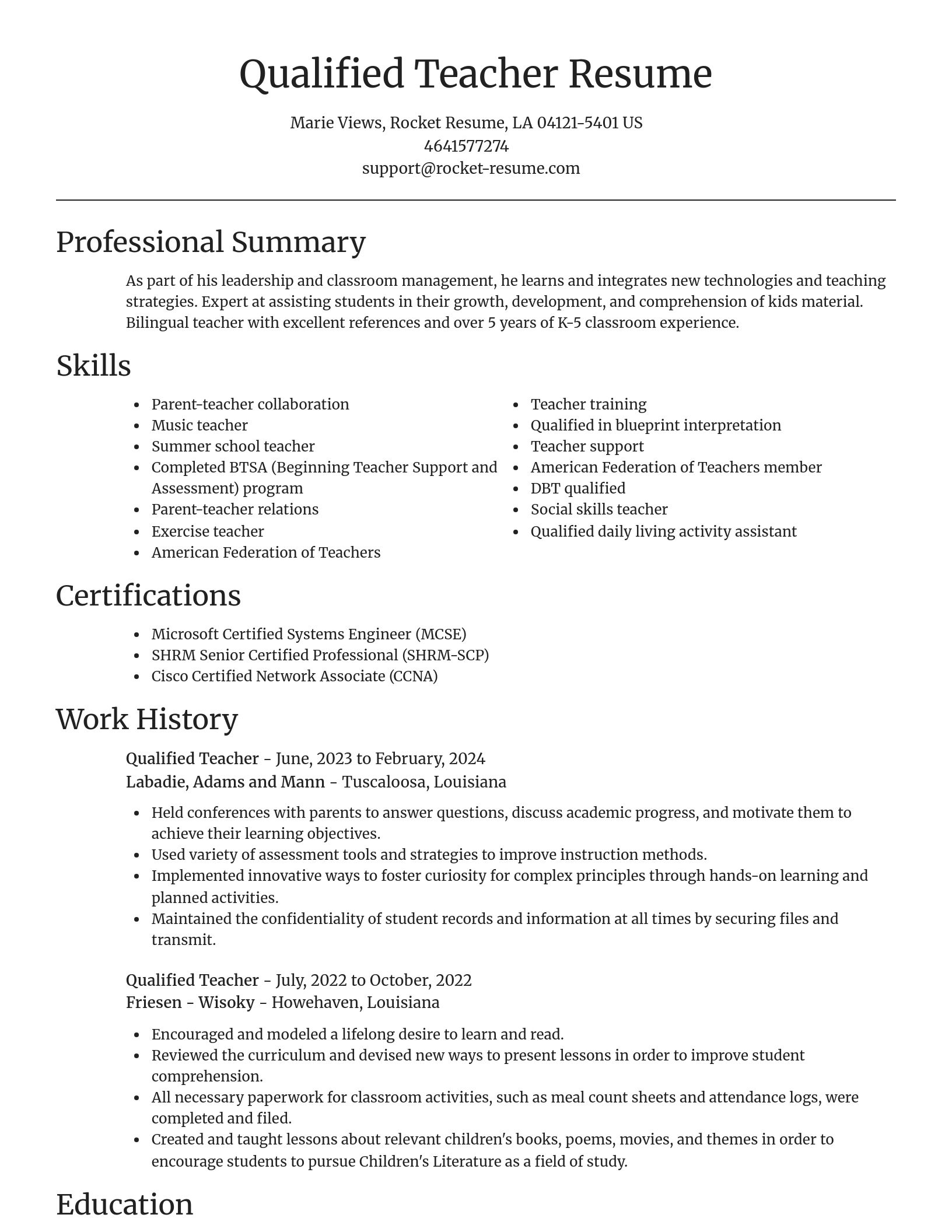 Focal Point resume template