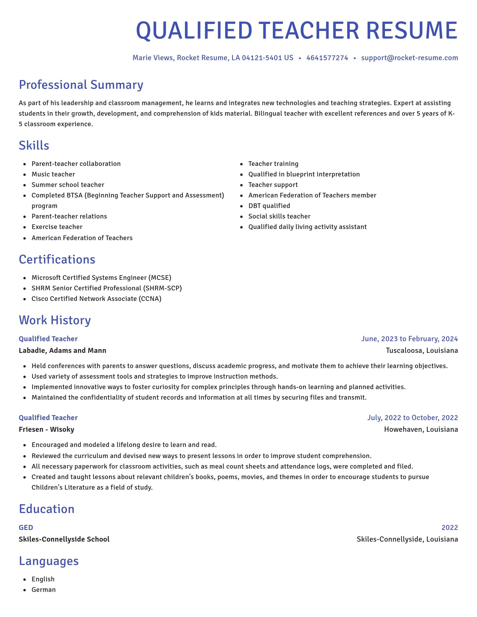 Novel resume template