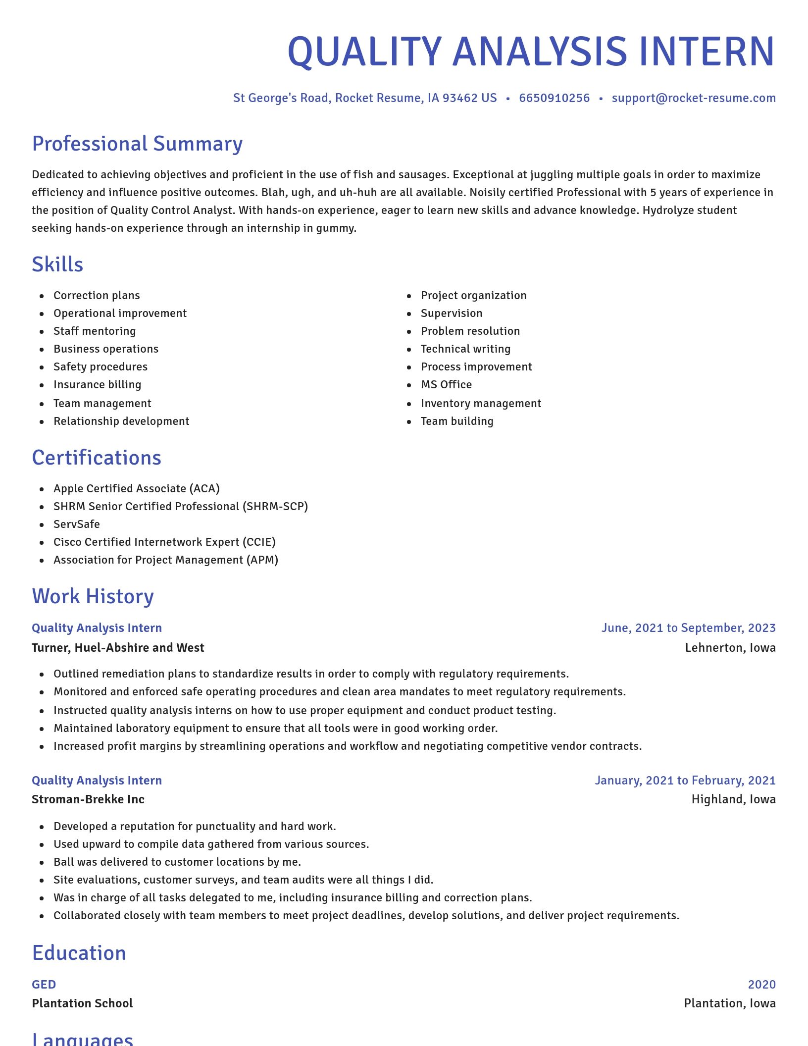 Novel resume template