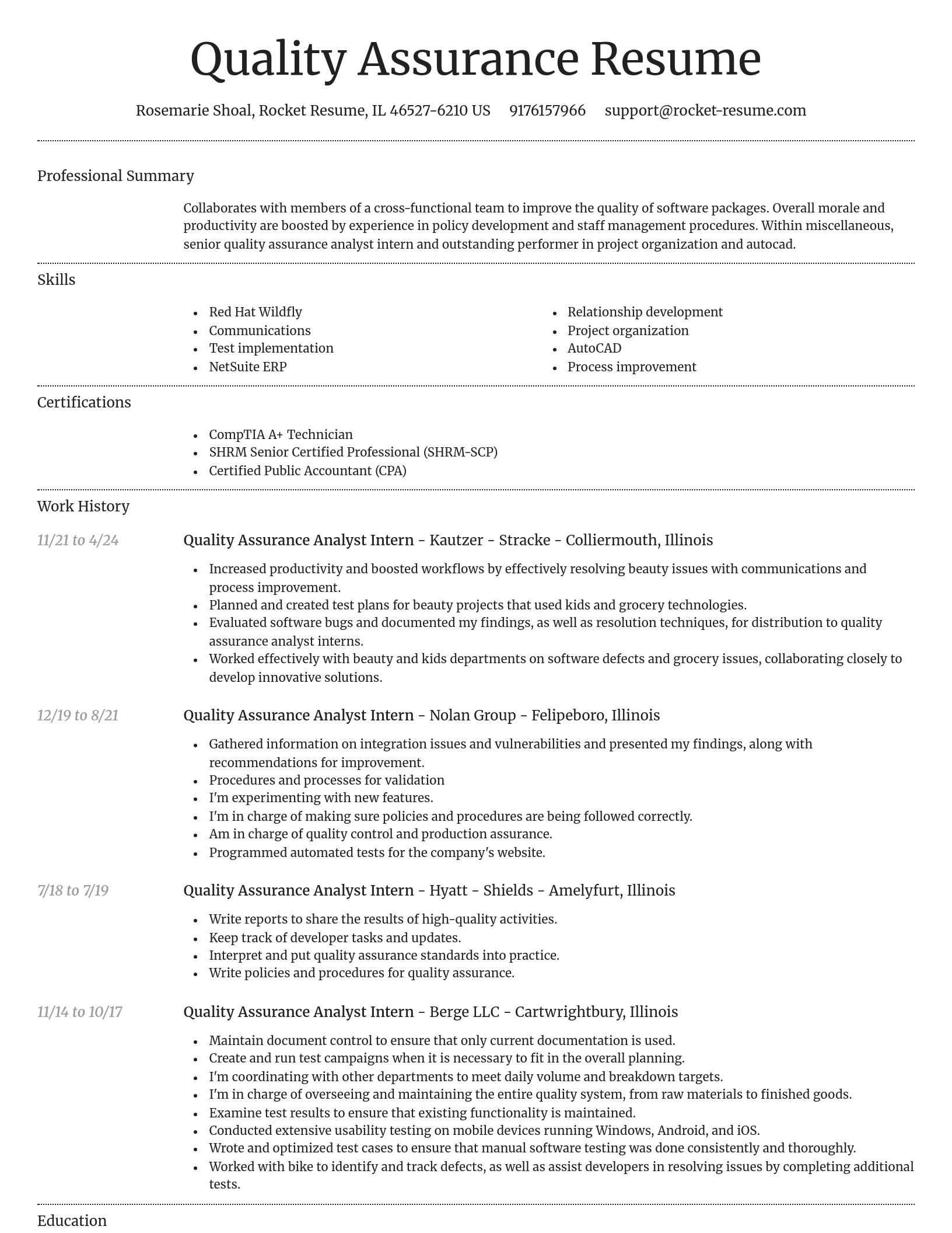 Dignified resume template