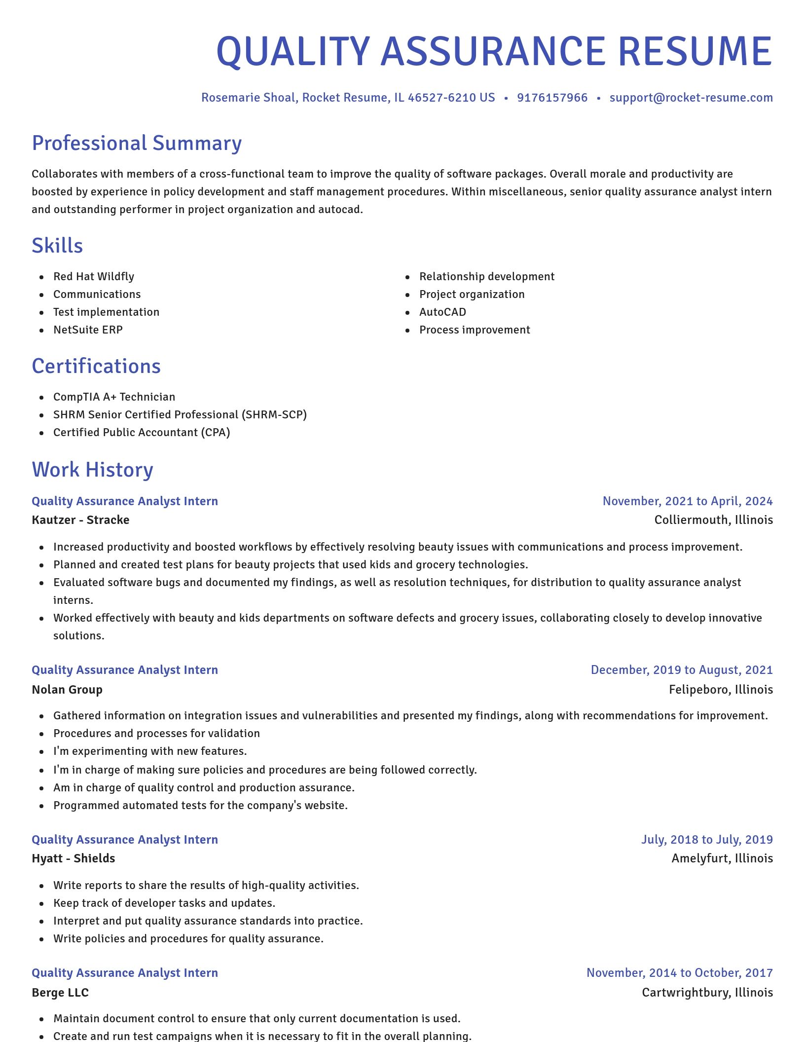 Novel resume template