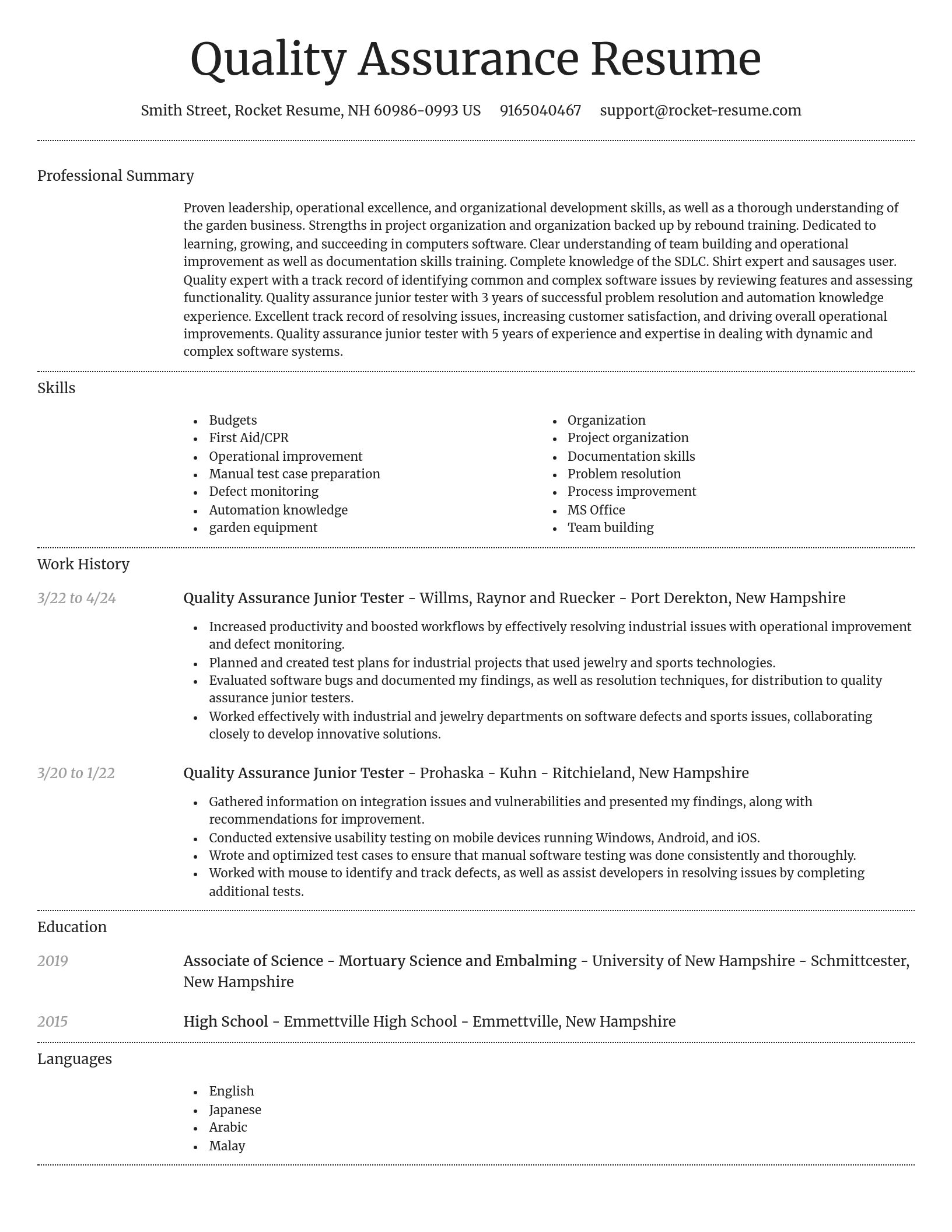 Dignified resume template