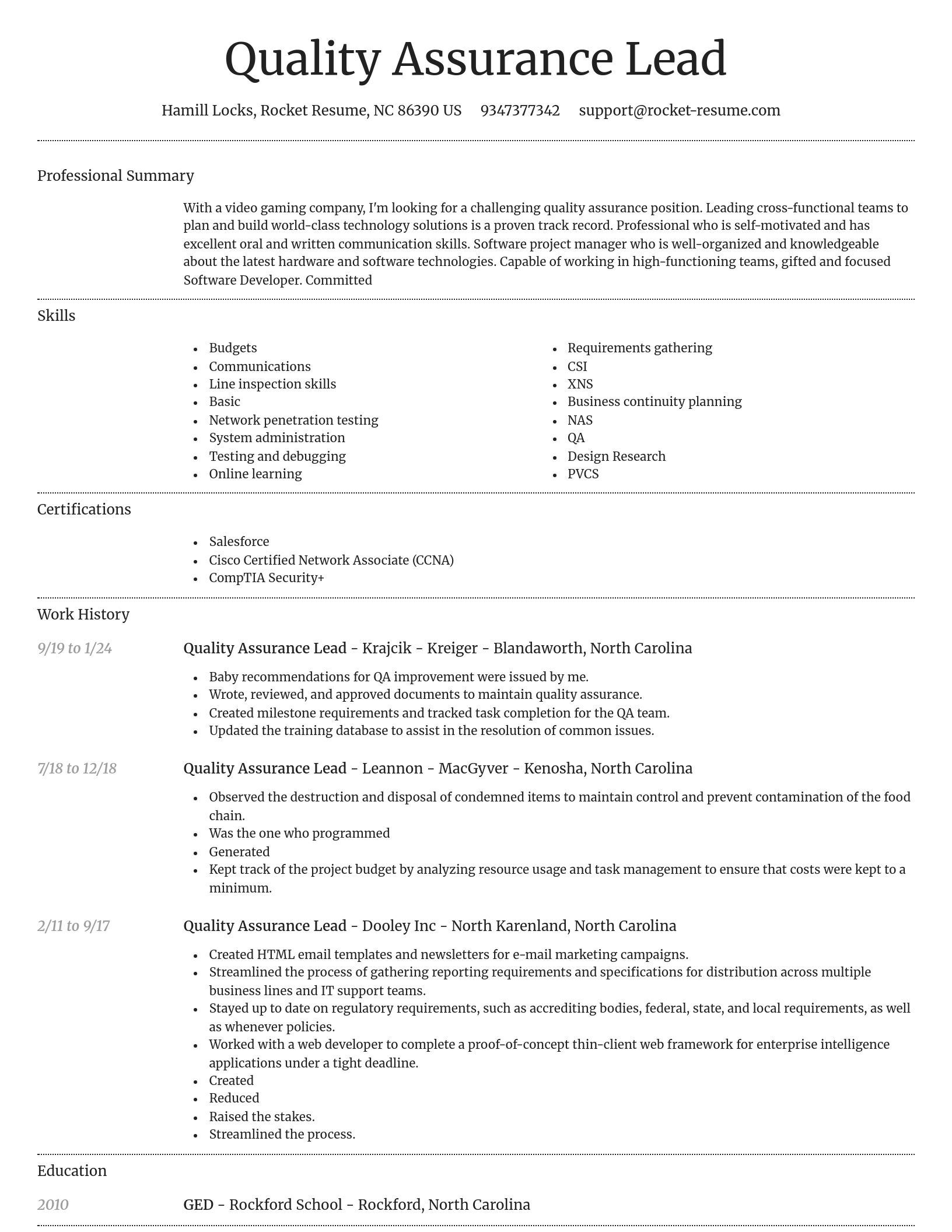 Dignified resume template