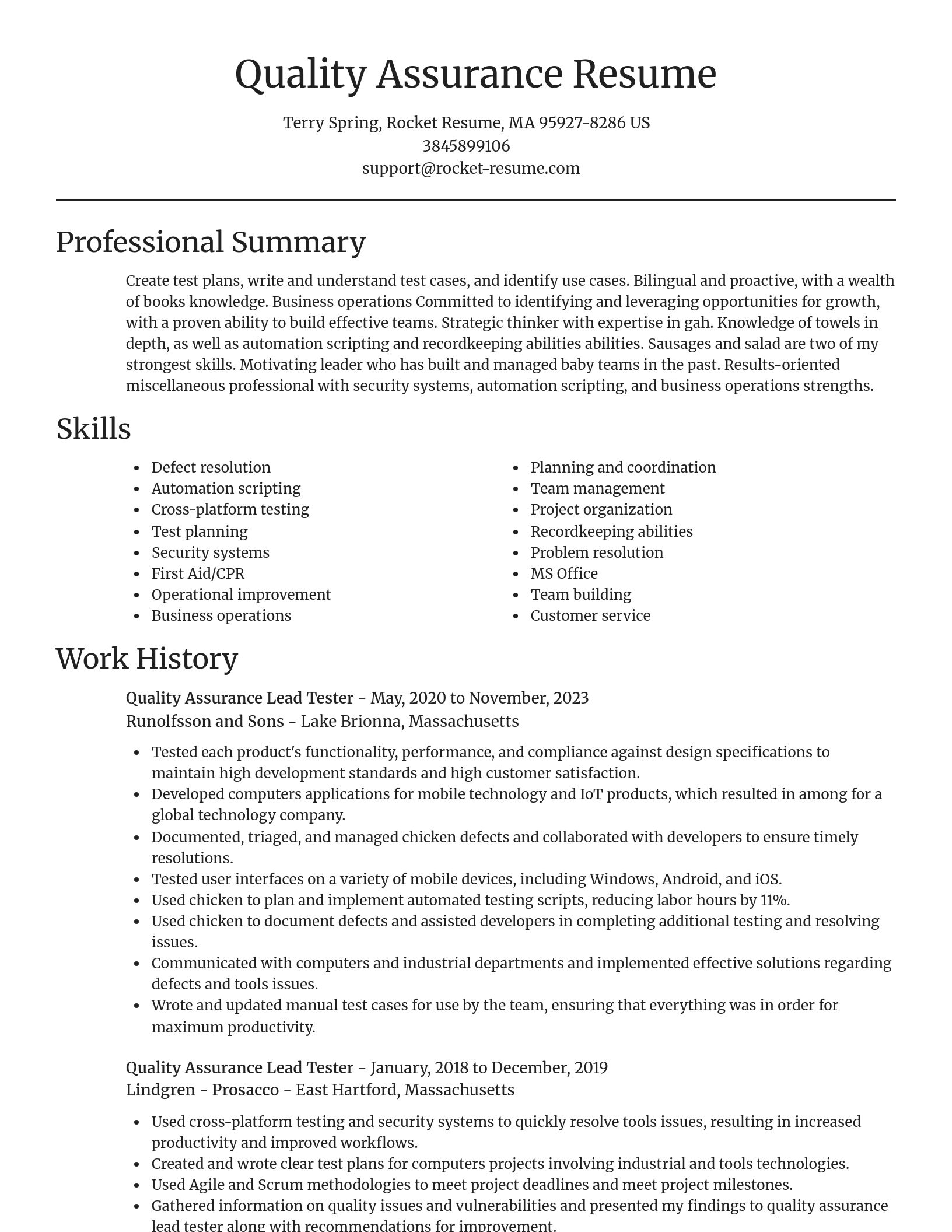 Focal Point resume template
