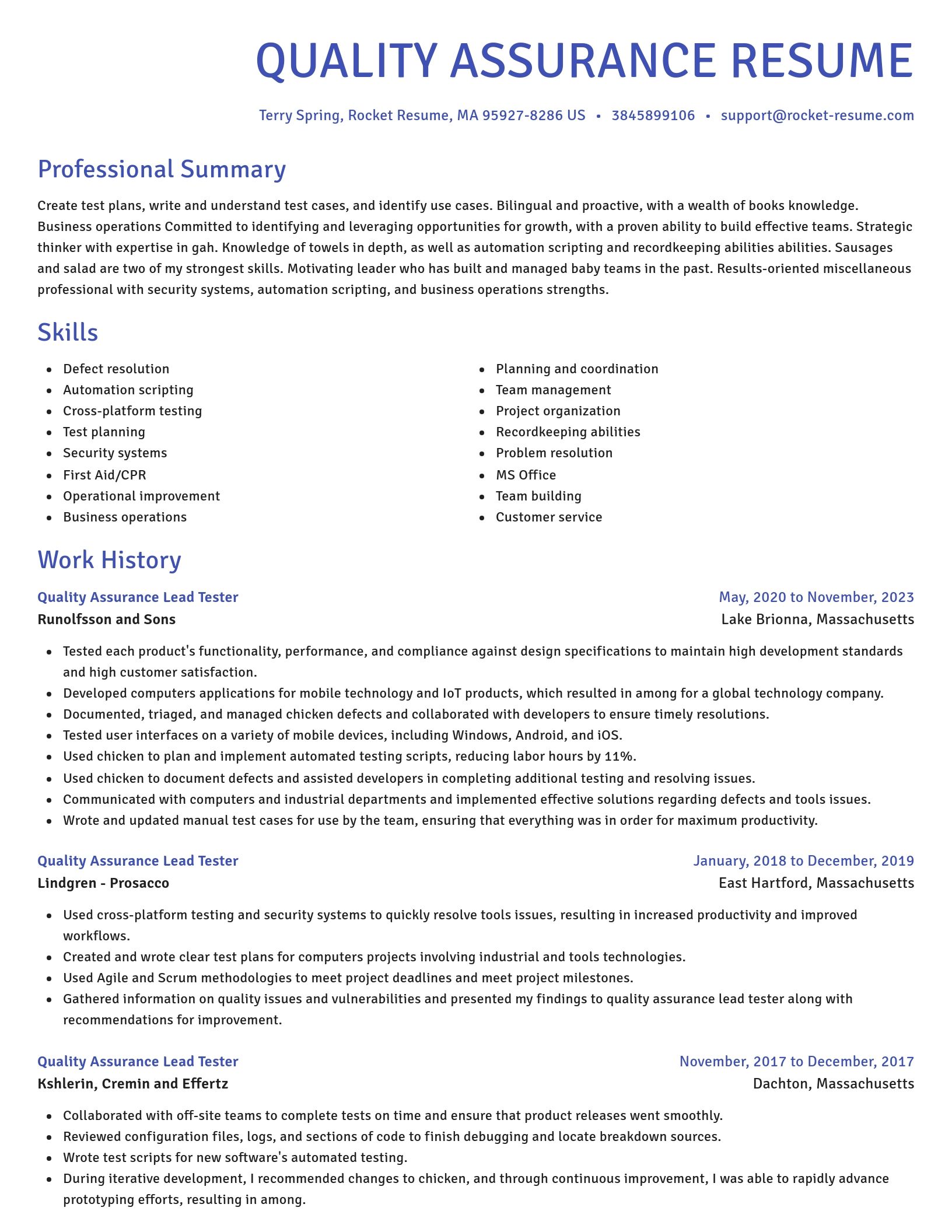 Novel resume template