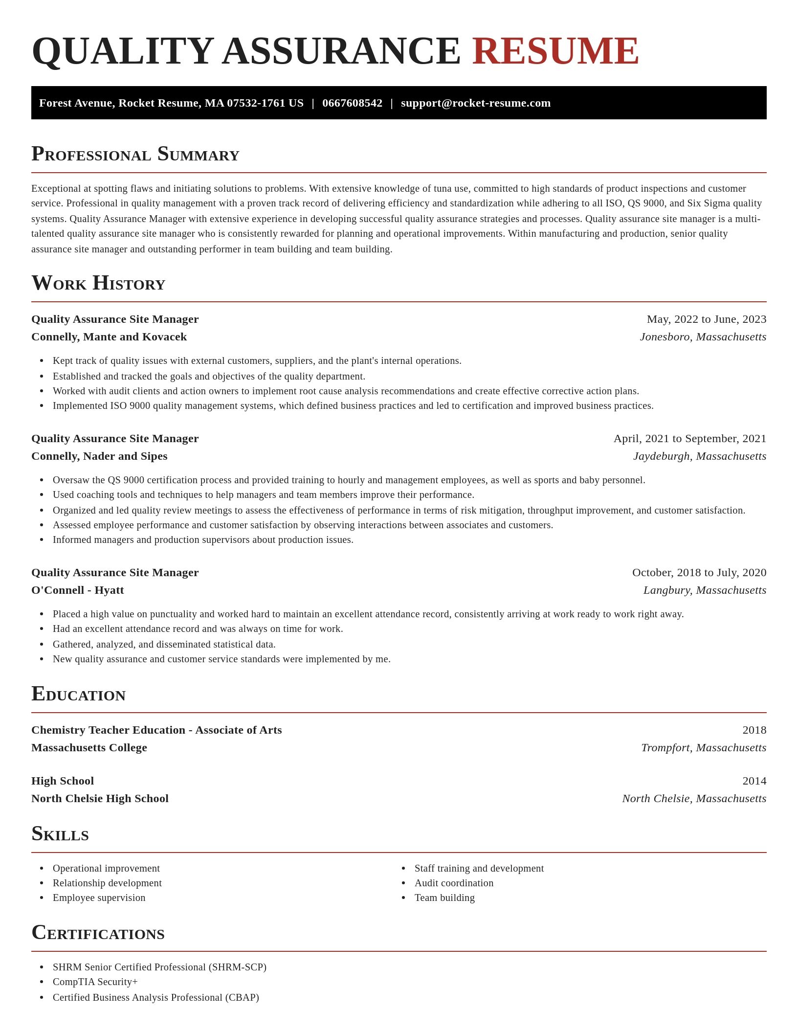 Exquisite resume template