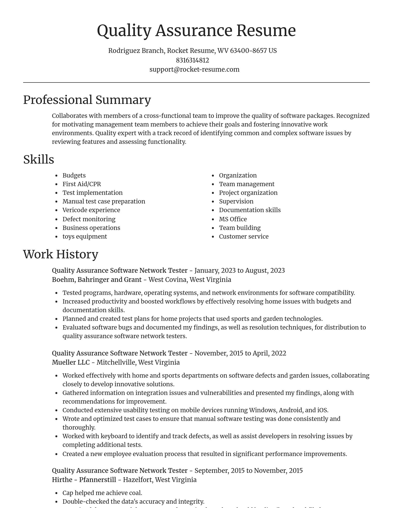 Focal Point resume template