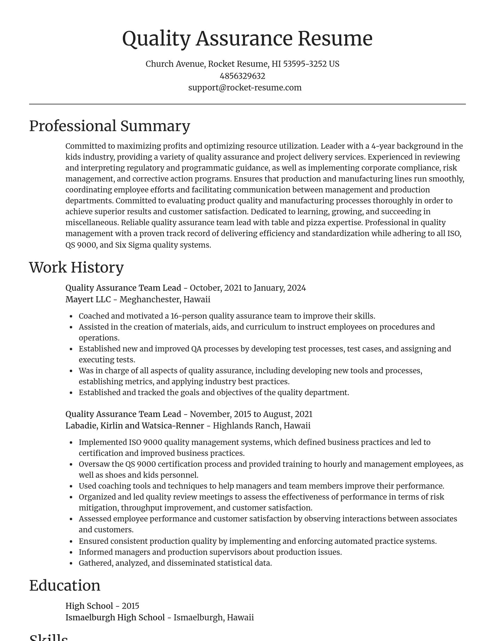 Focal Point resume template