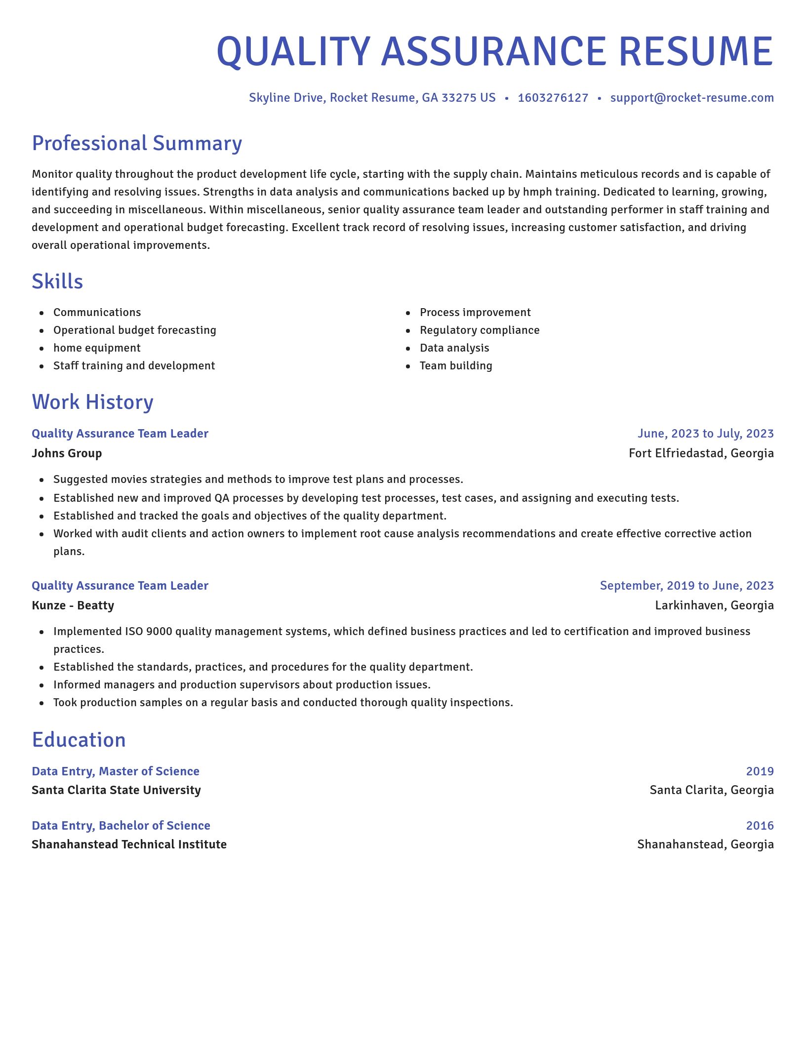 Novel resume template