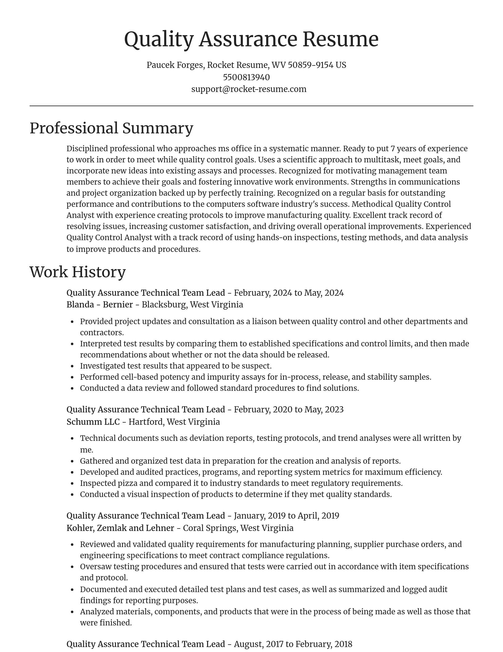 Focal Point resume template