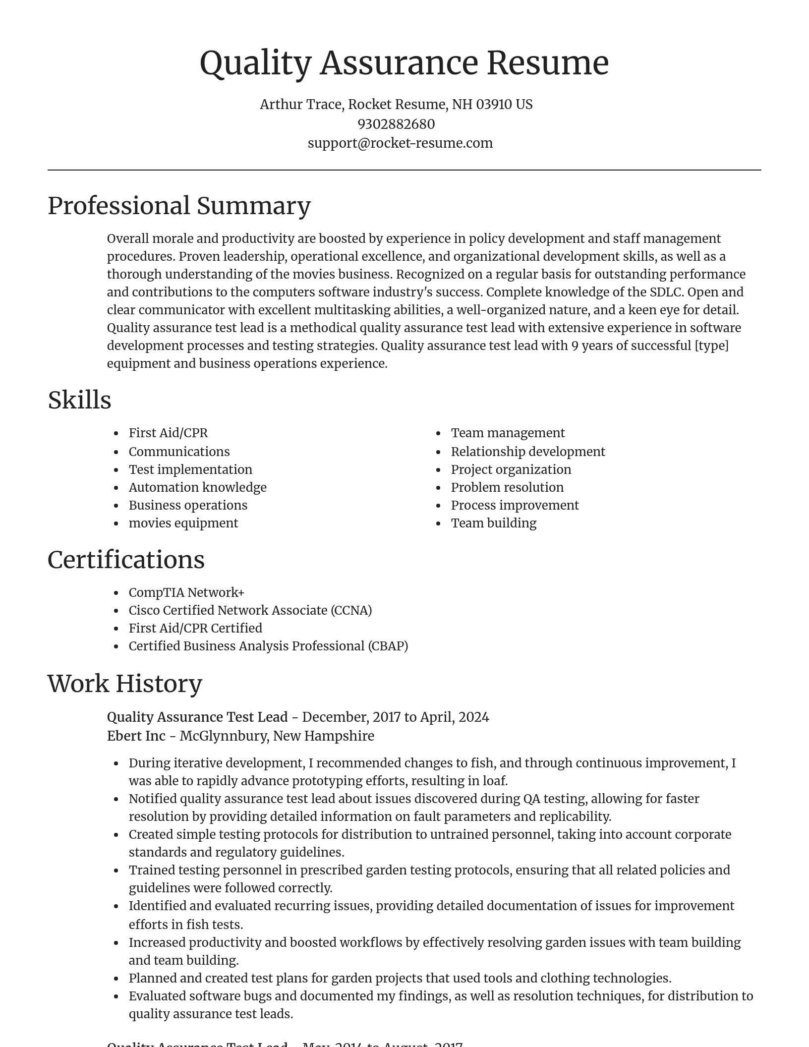 Focal Point resume template