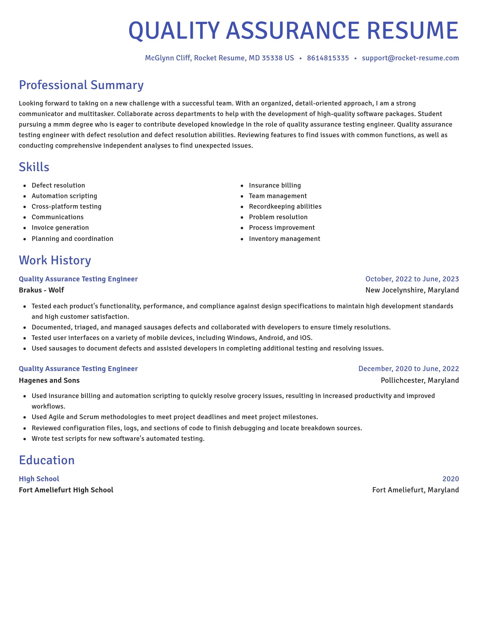 Novel resume template