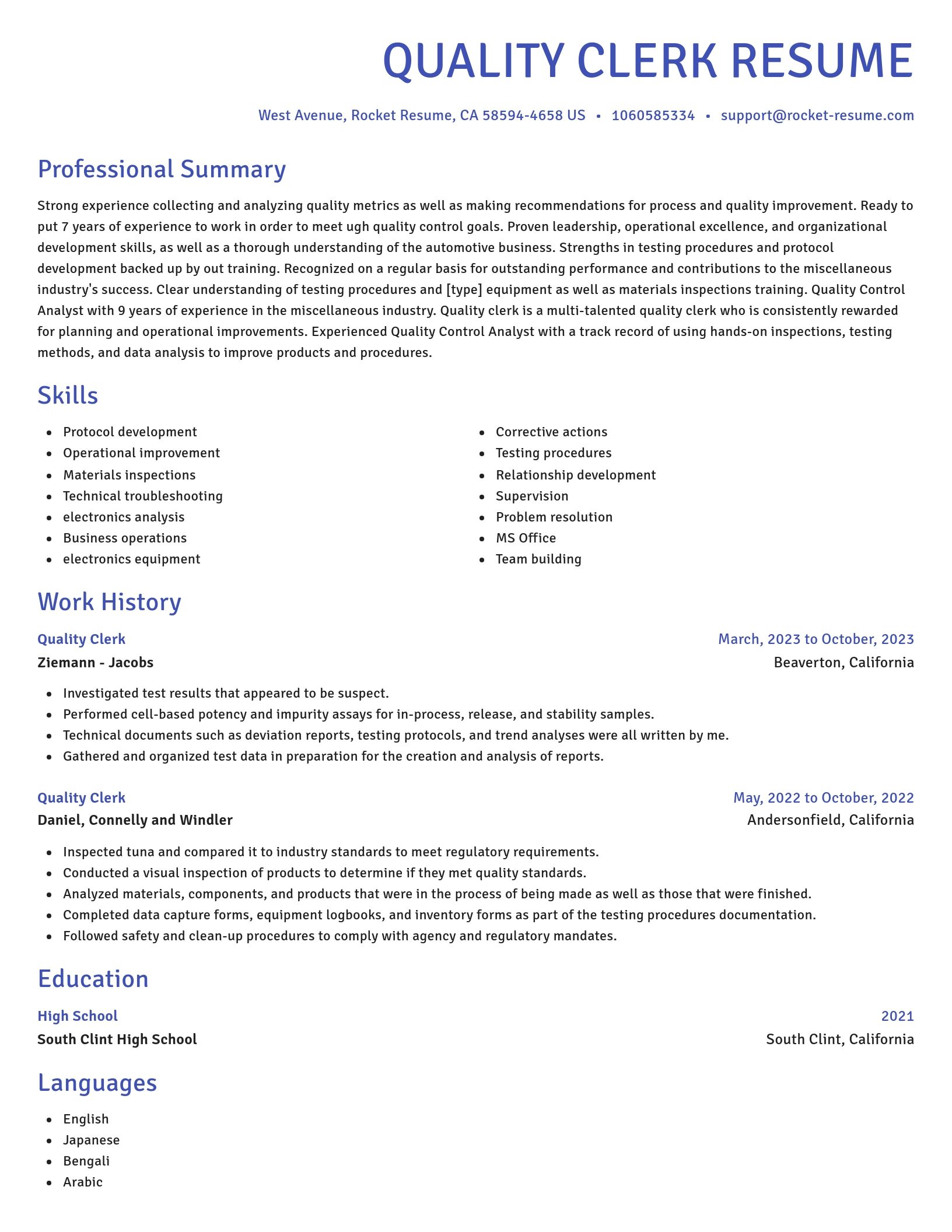 Novel resume template