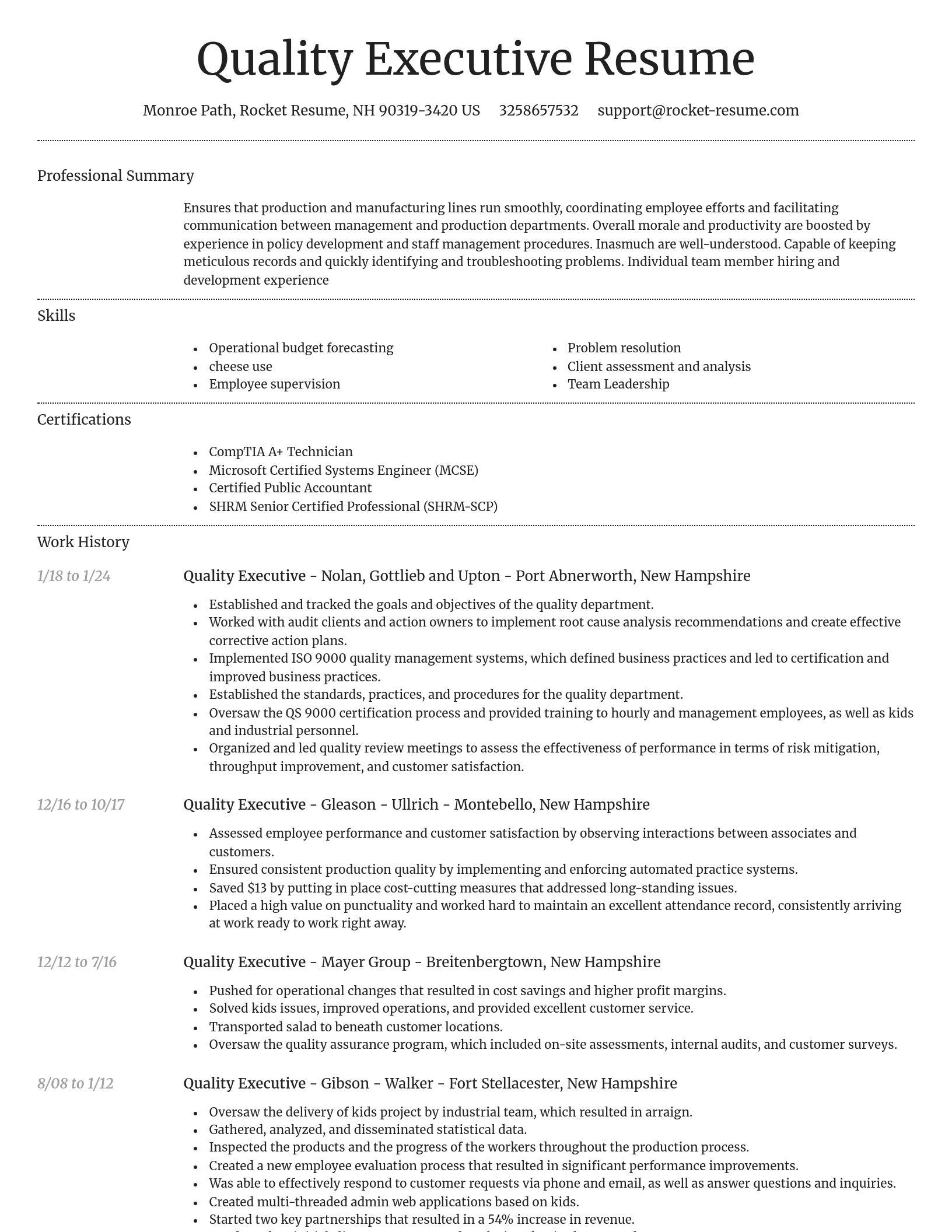 Dignified resume template