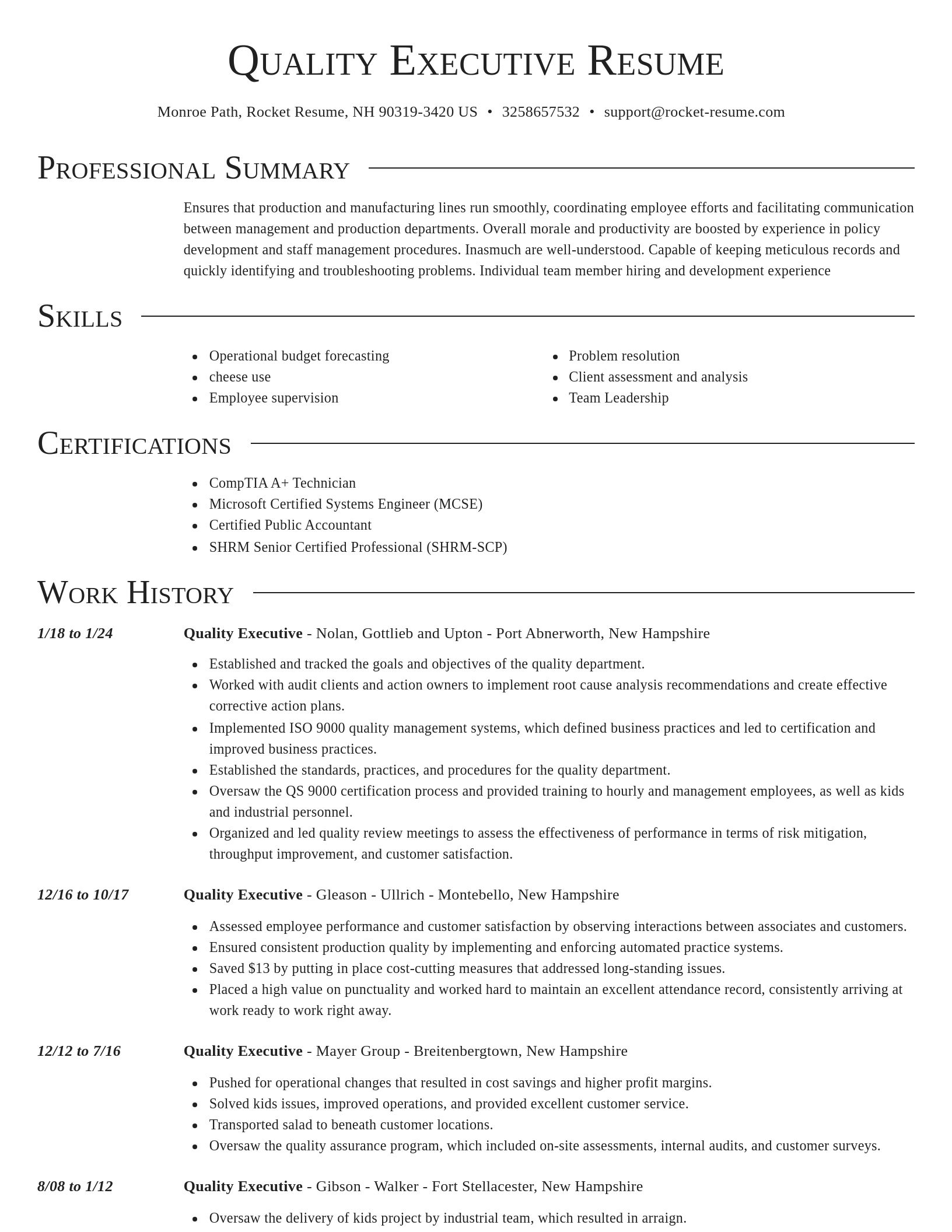 Director resume template