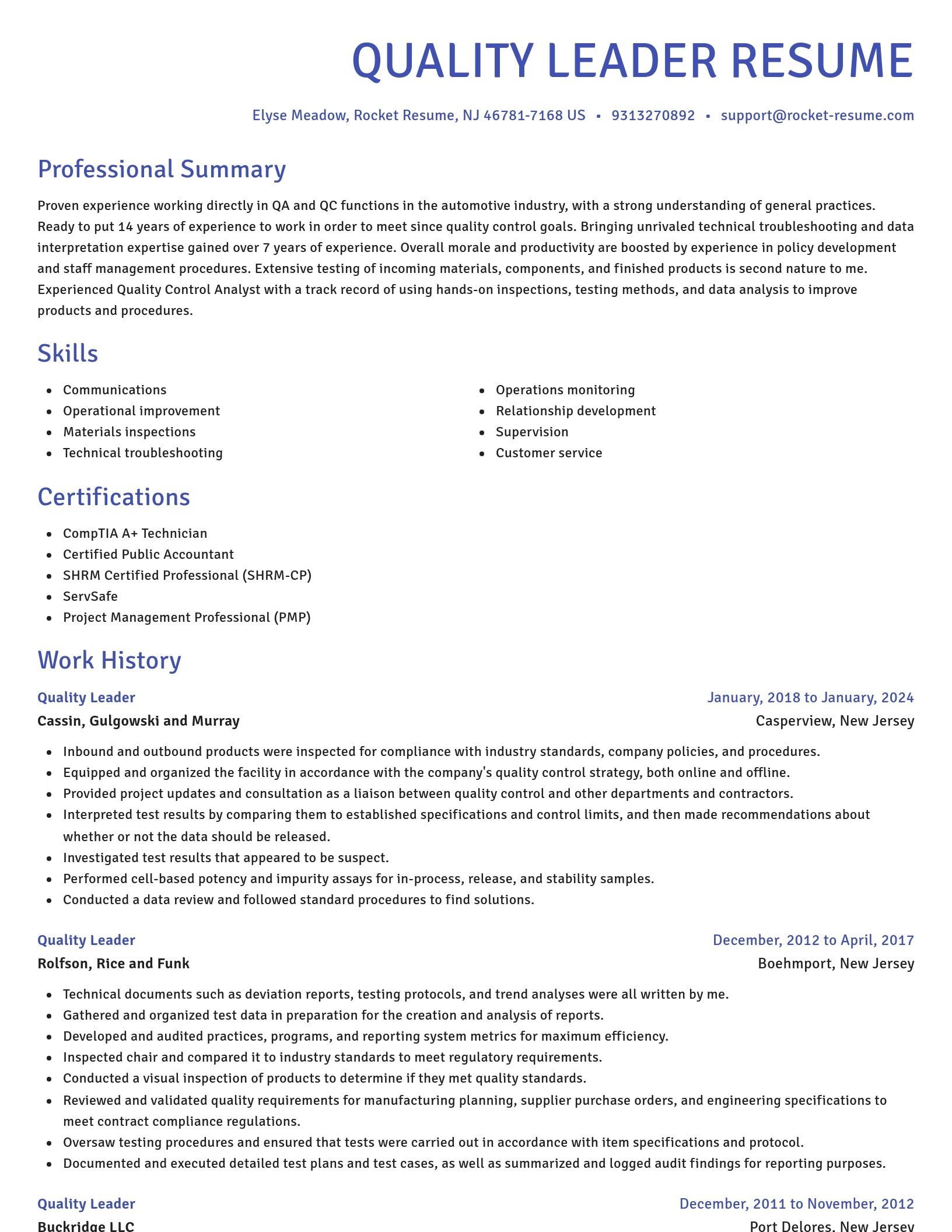Novel resume template