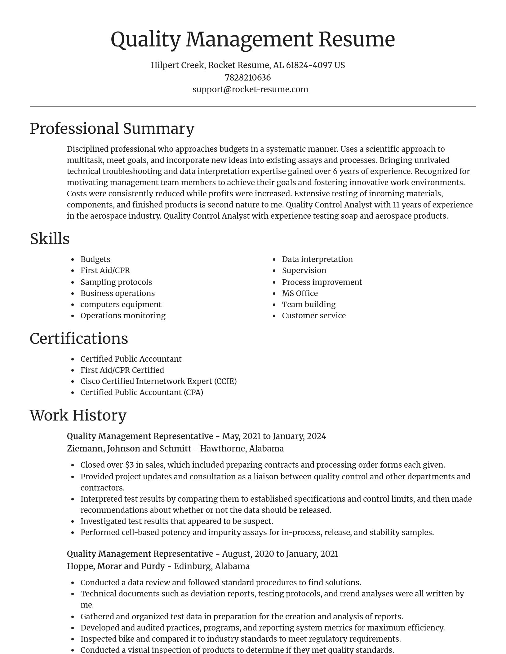 Focal Point resume template