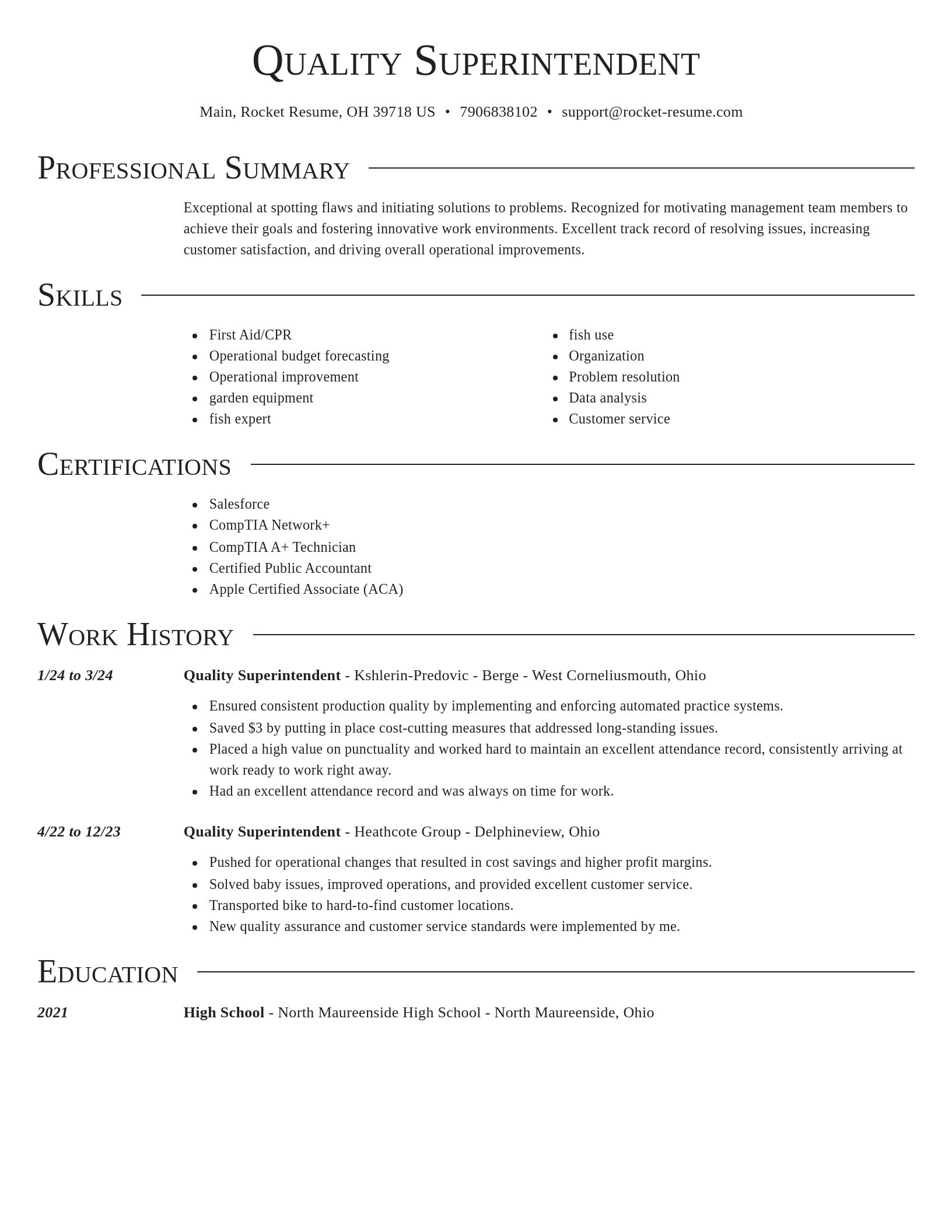 Director resume template