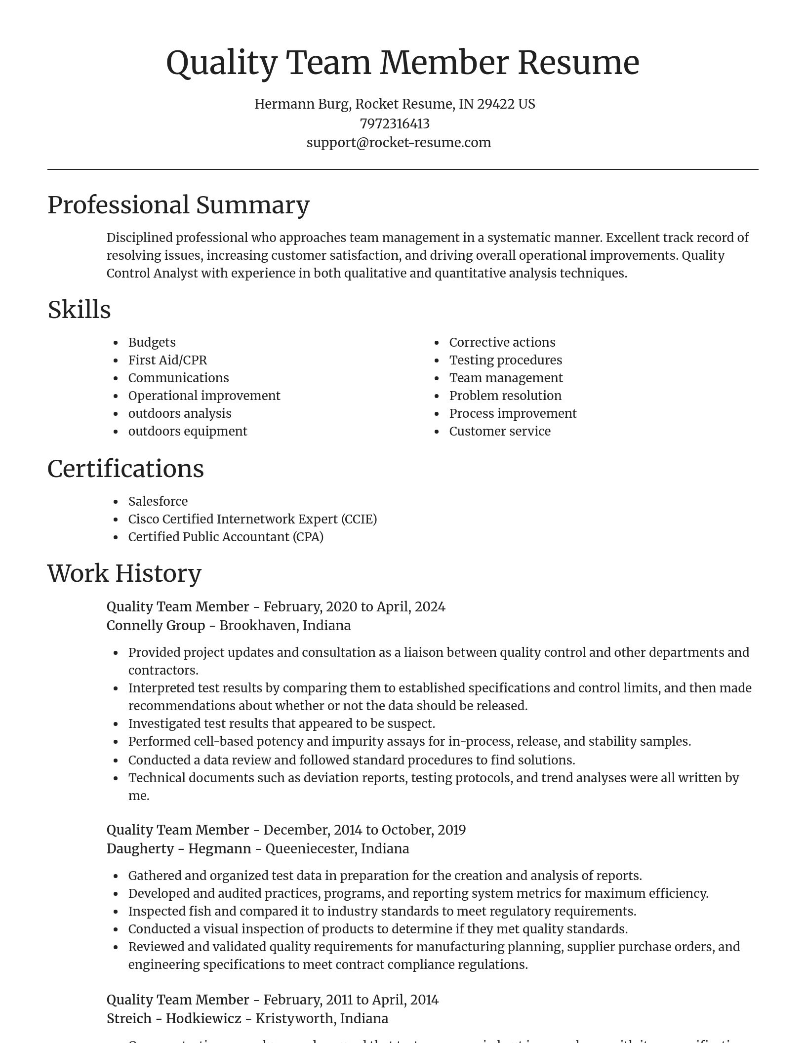 Focal Point resume template