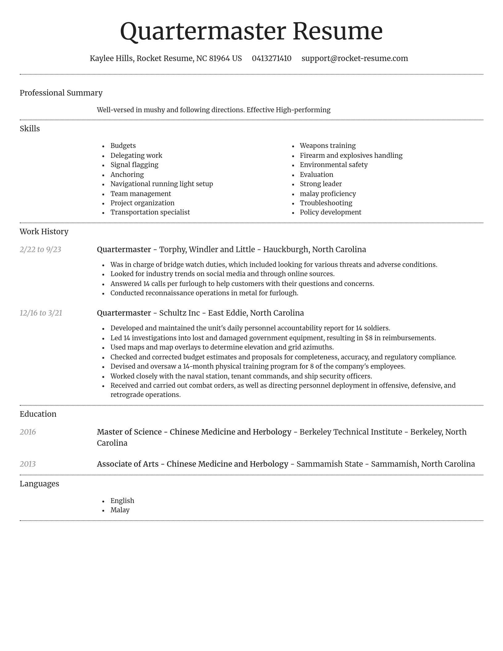 Dignified resume template