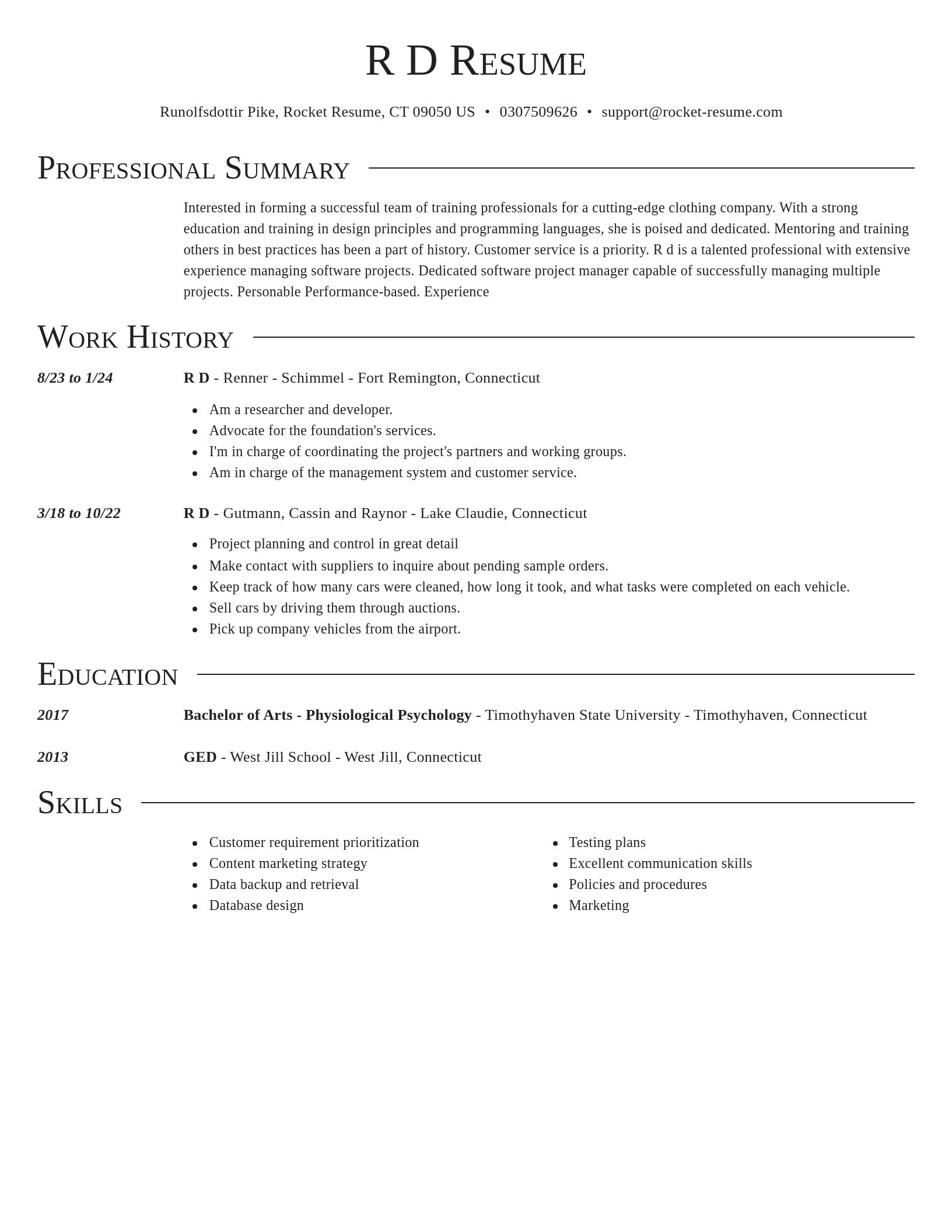 Director resume template