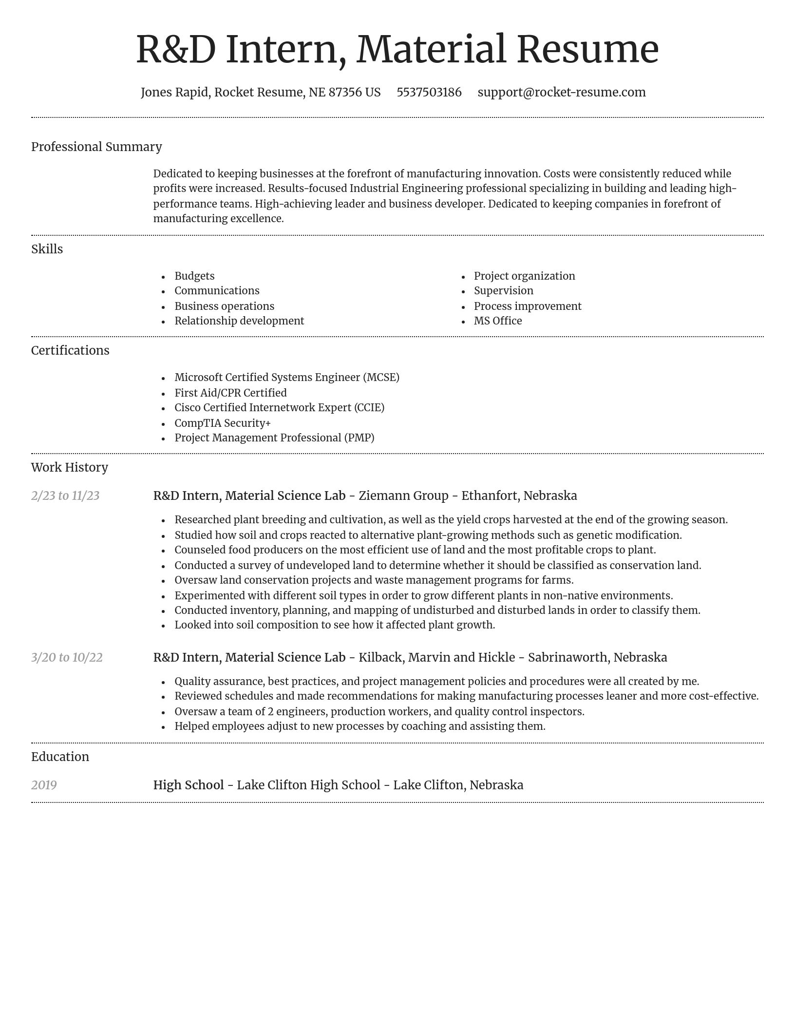 Dignified resume template
