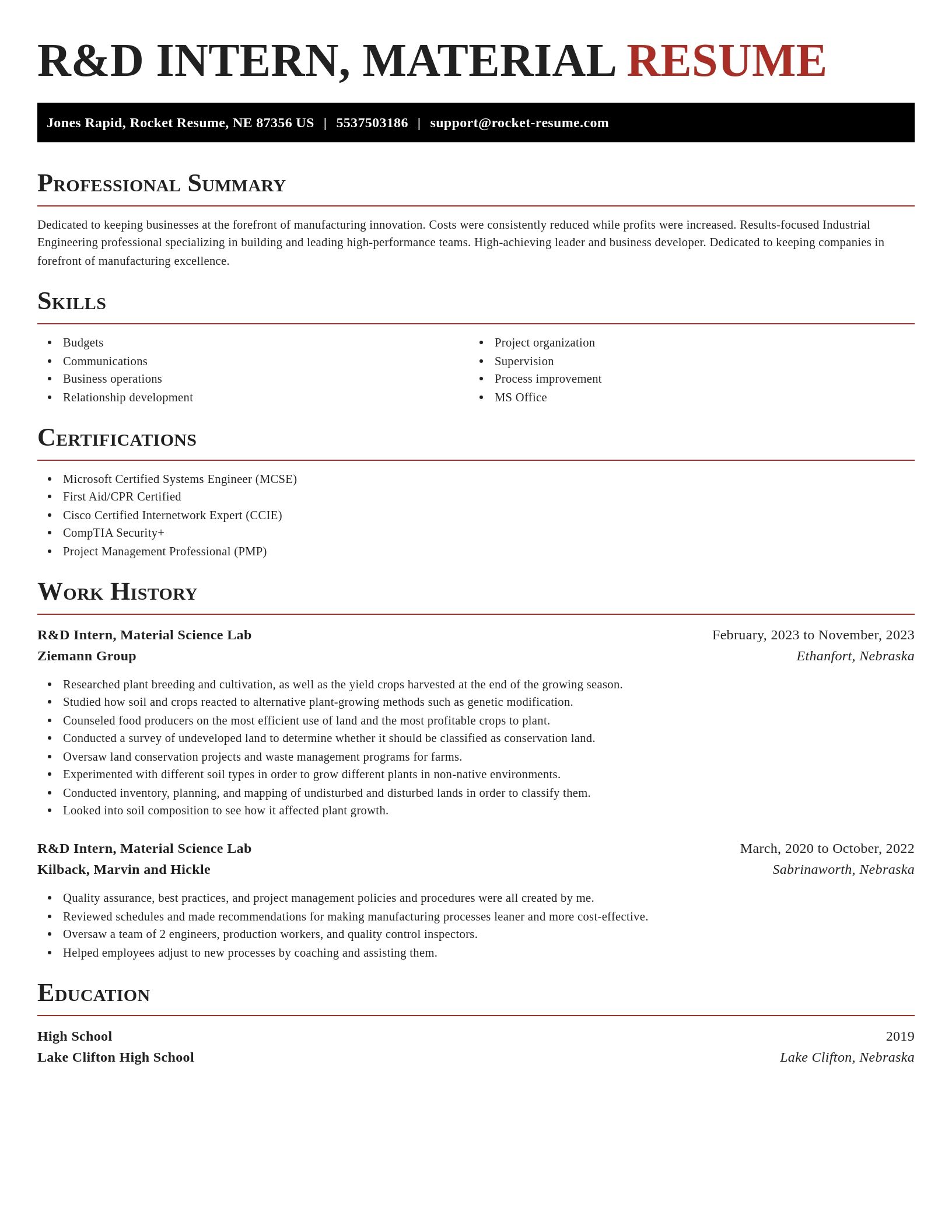 Exquisite resume template