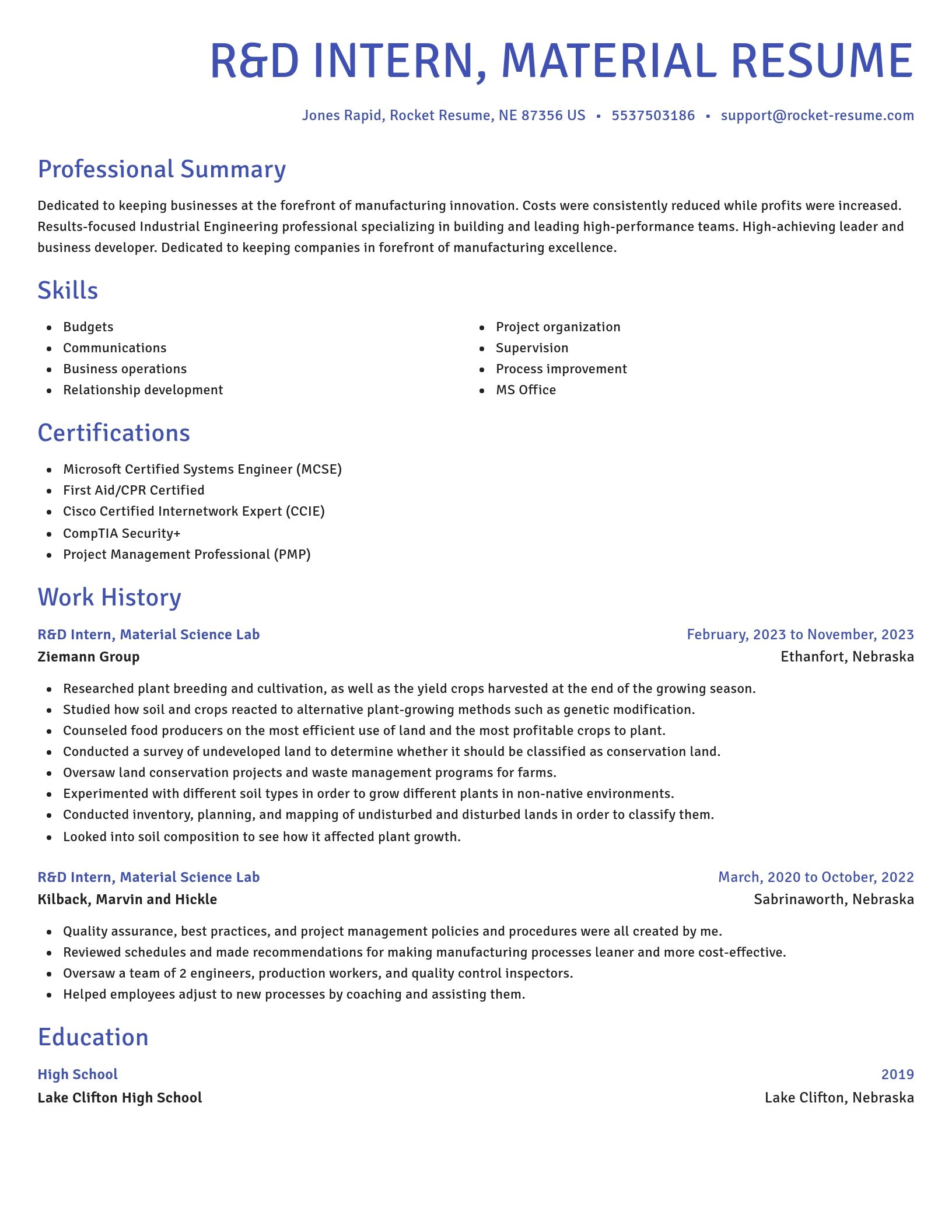Novel resume template