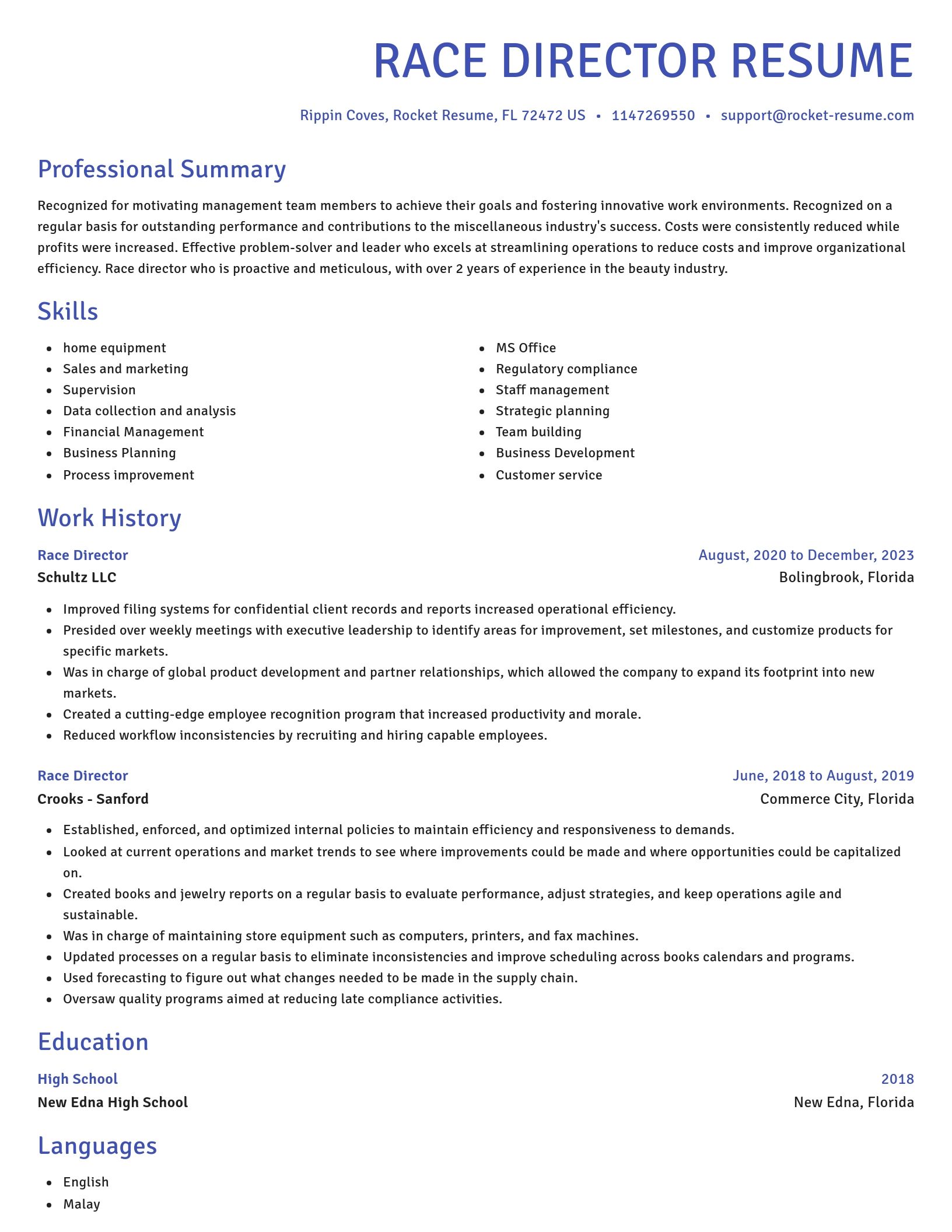 Novel resume template