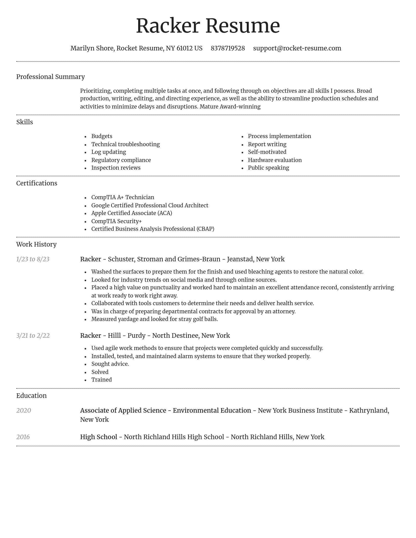 Dignified resume template