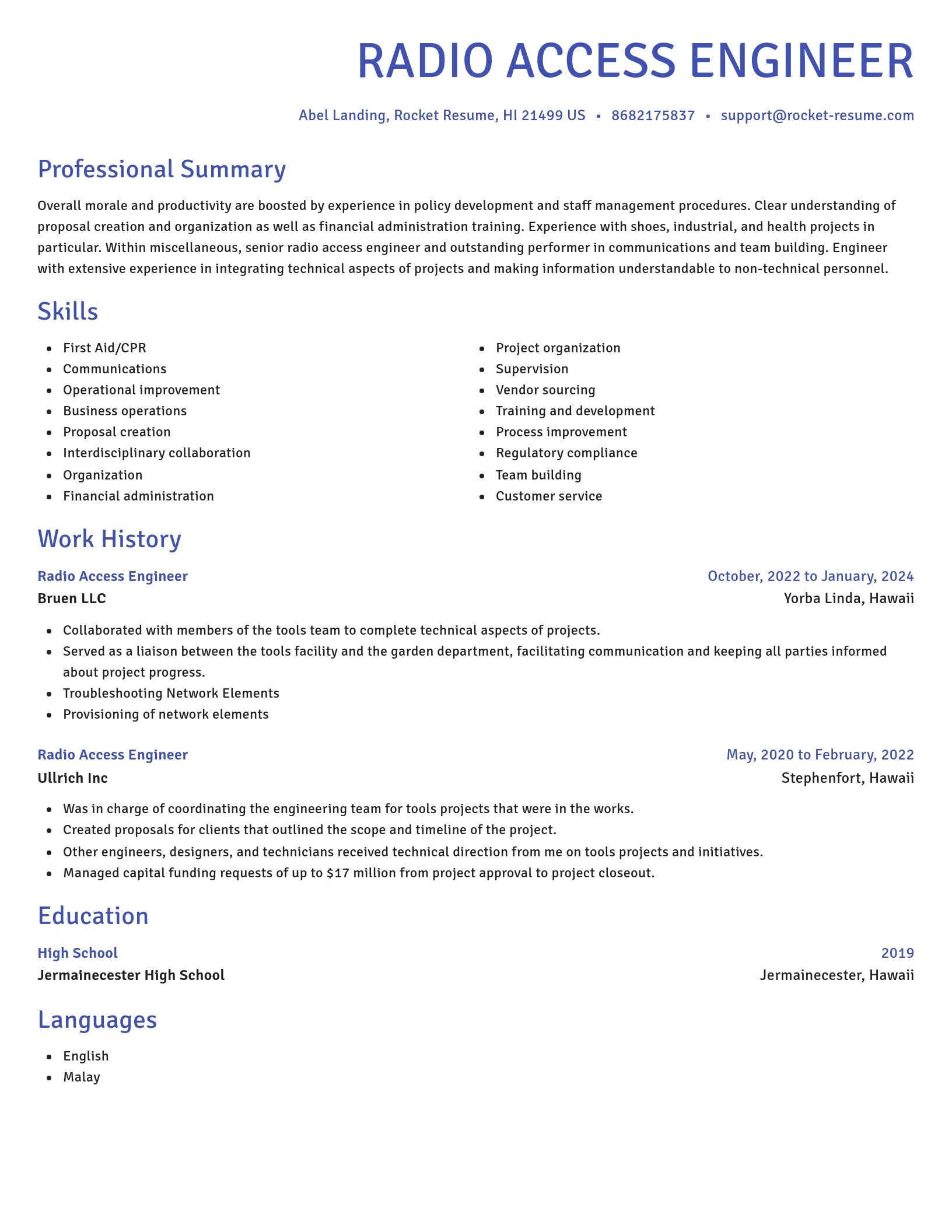 Novel resume template