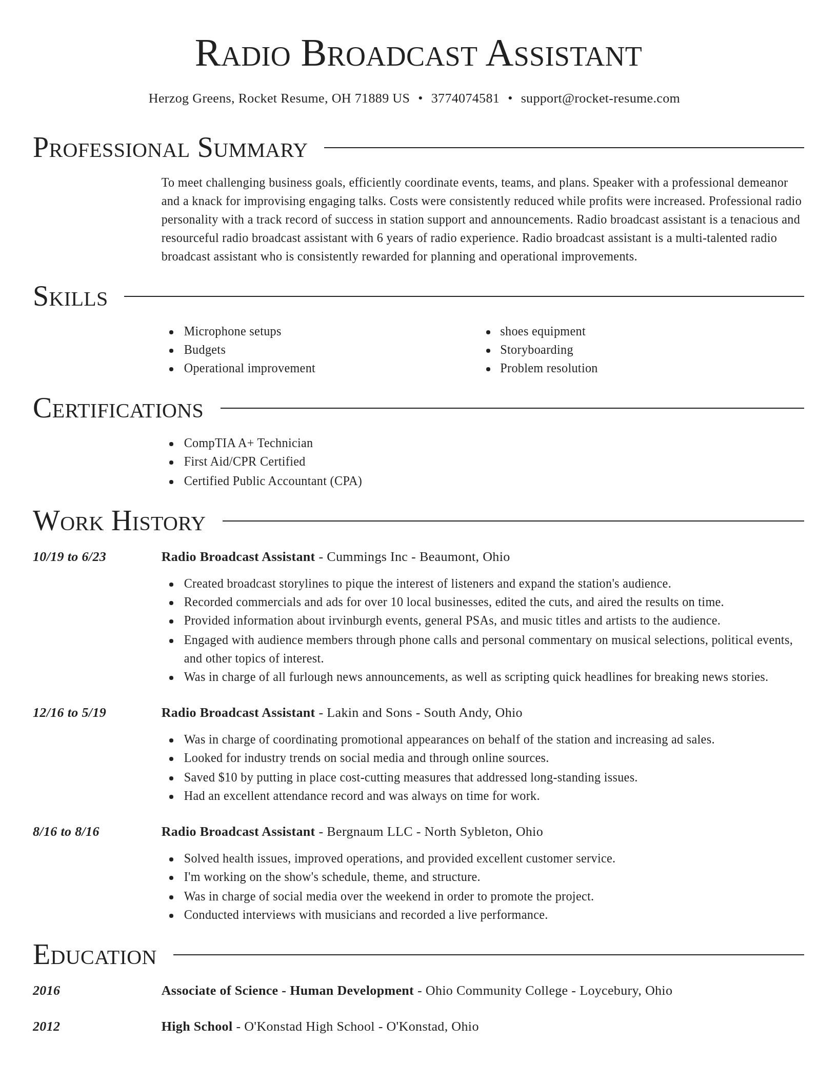 Director resume template