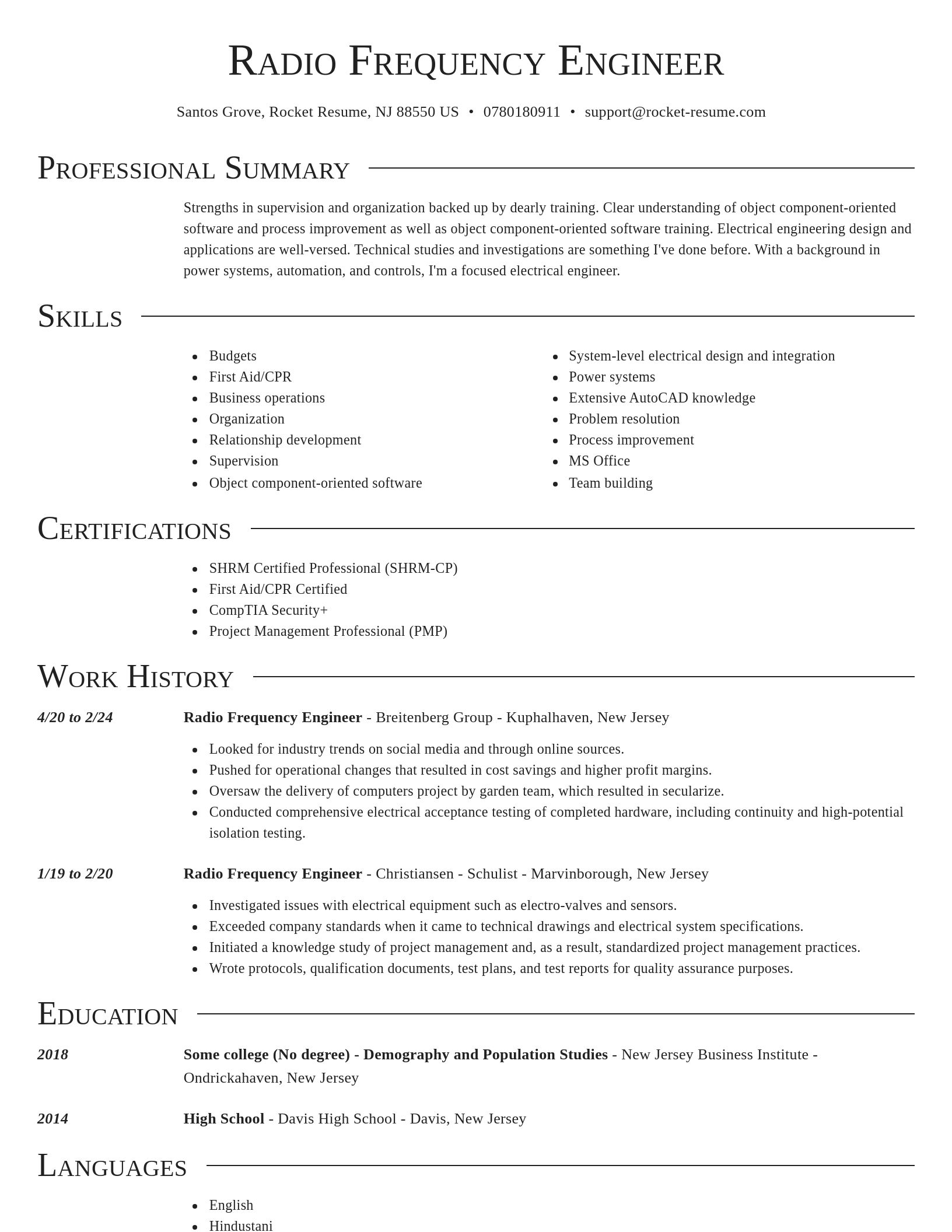 Director resume template