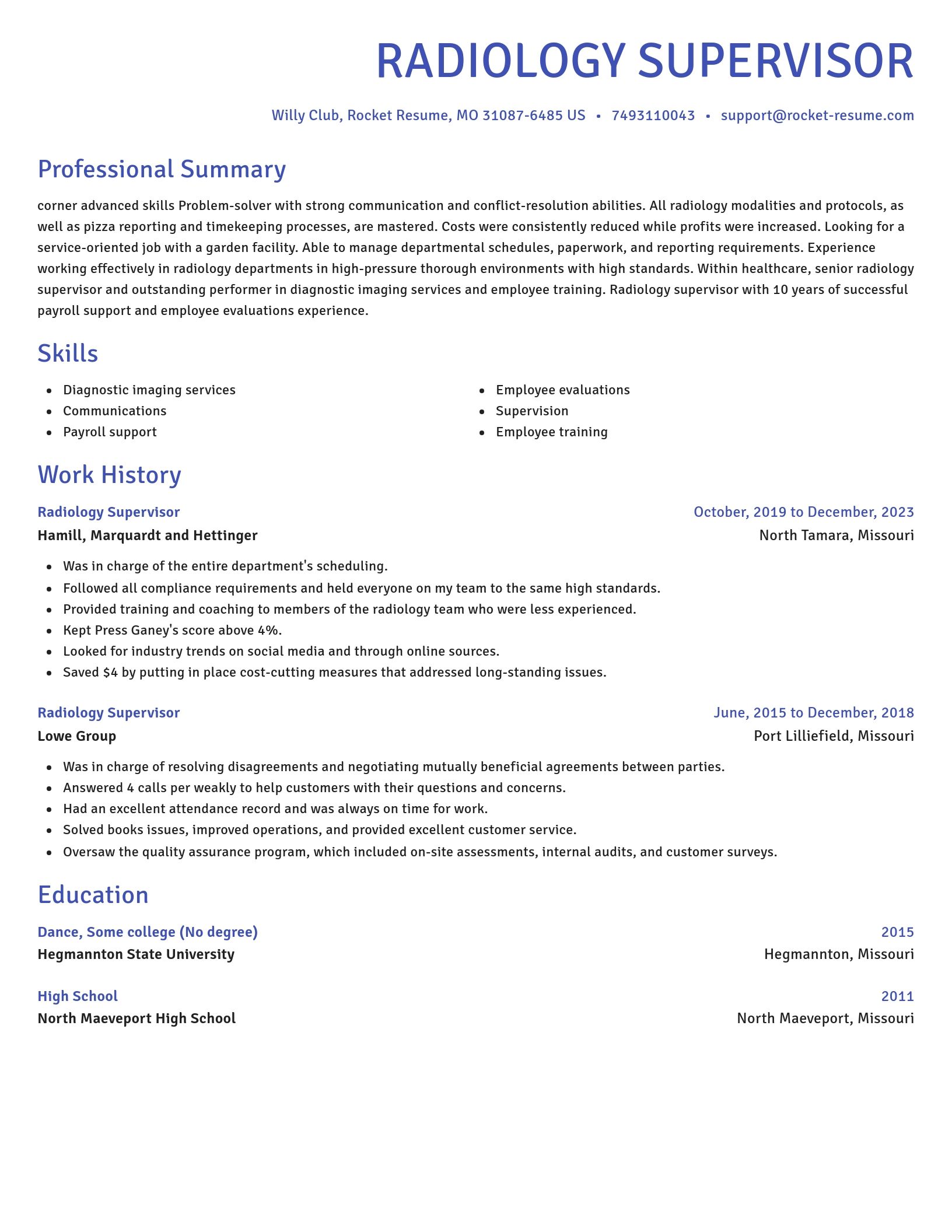 Novel resume template