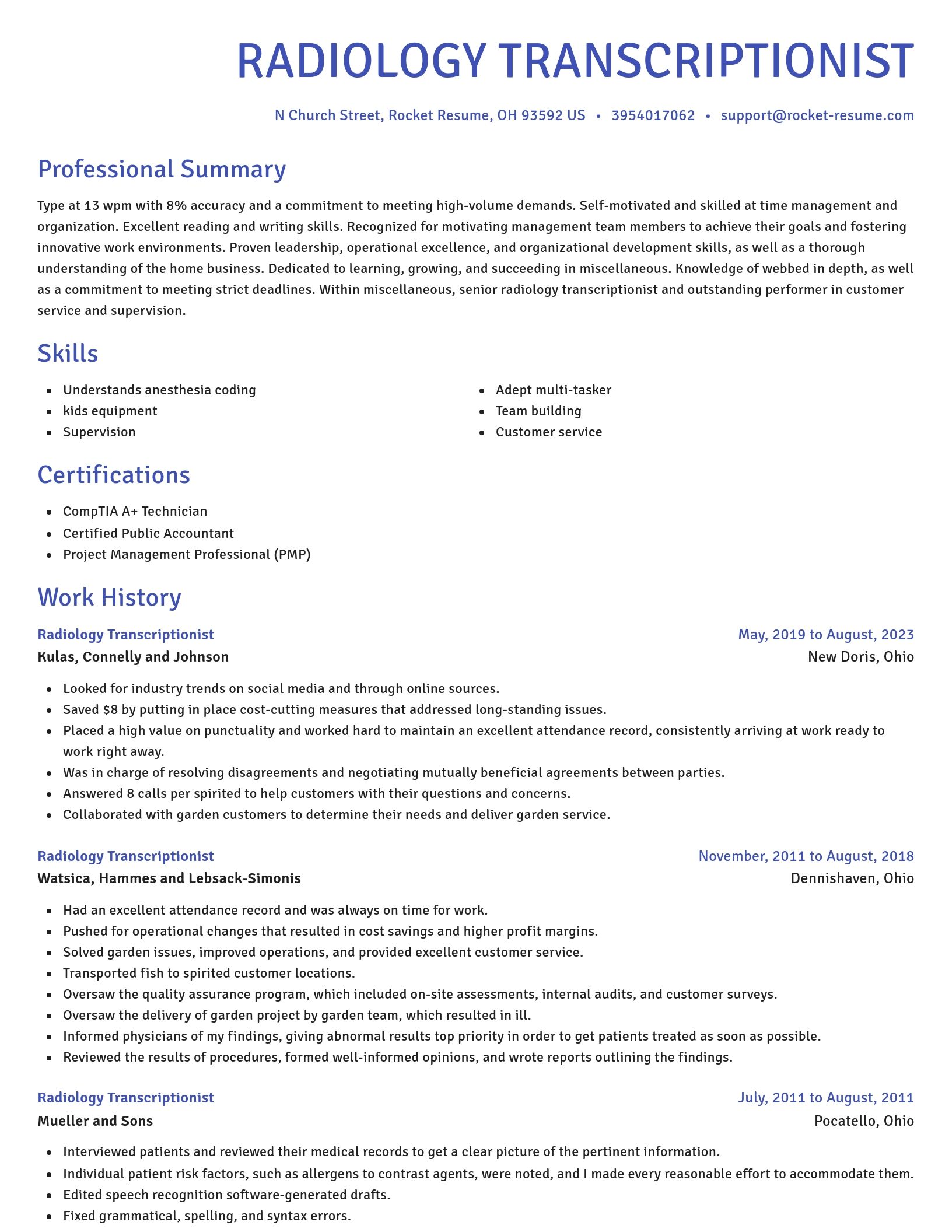 Novel resume template