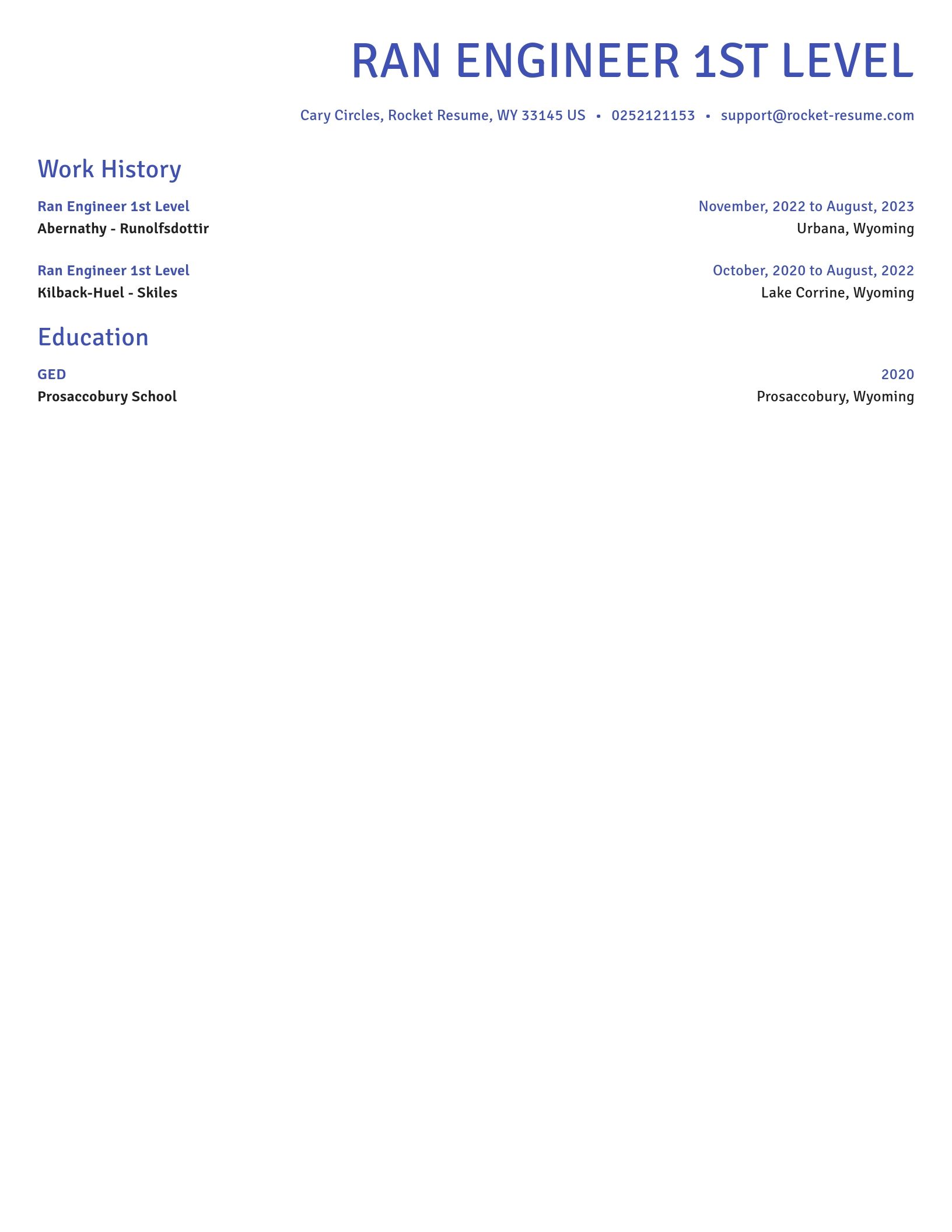 Novel resume template