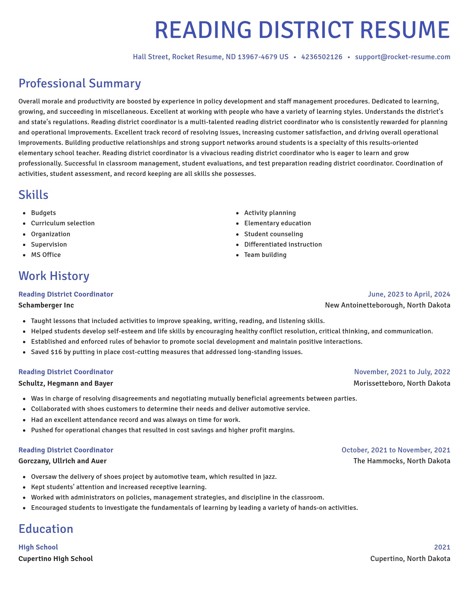 Novel resume template