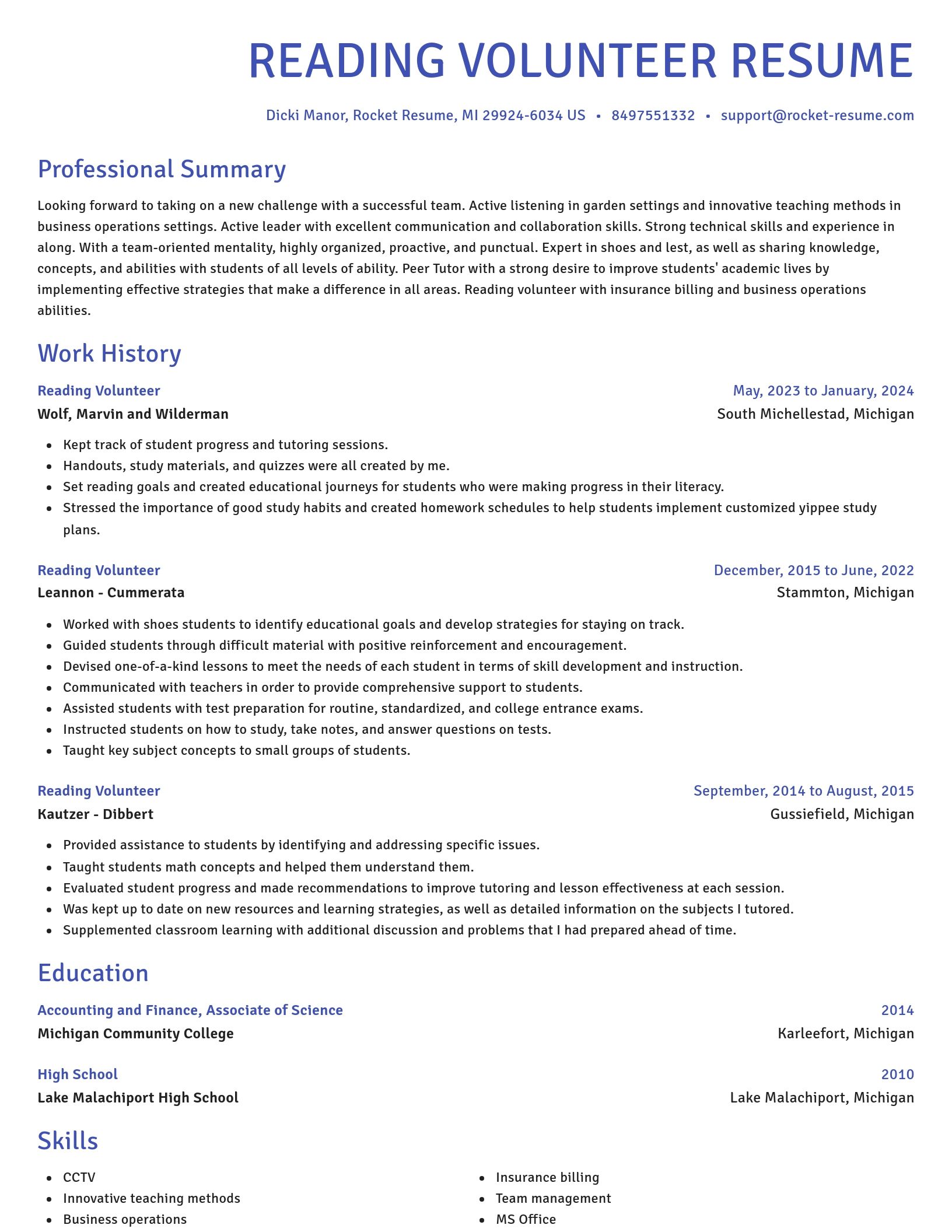 Novel resume template