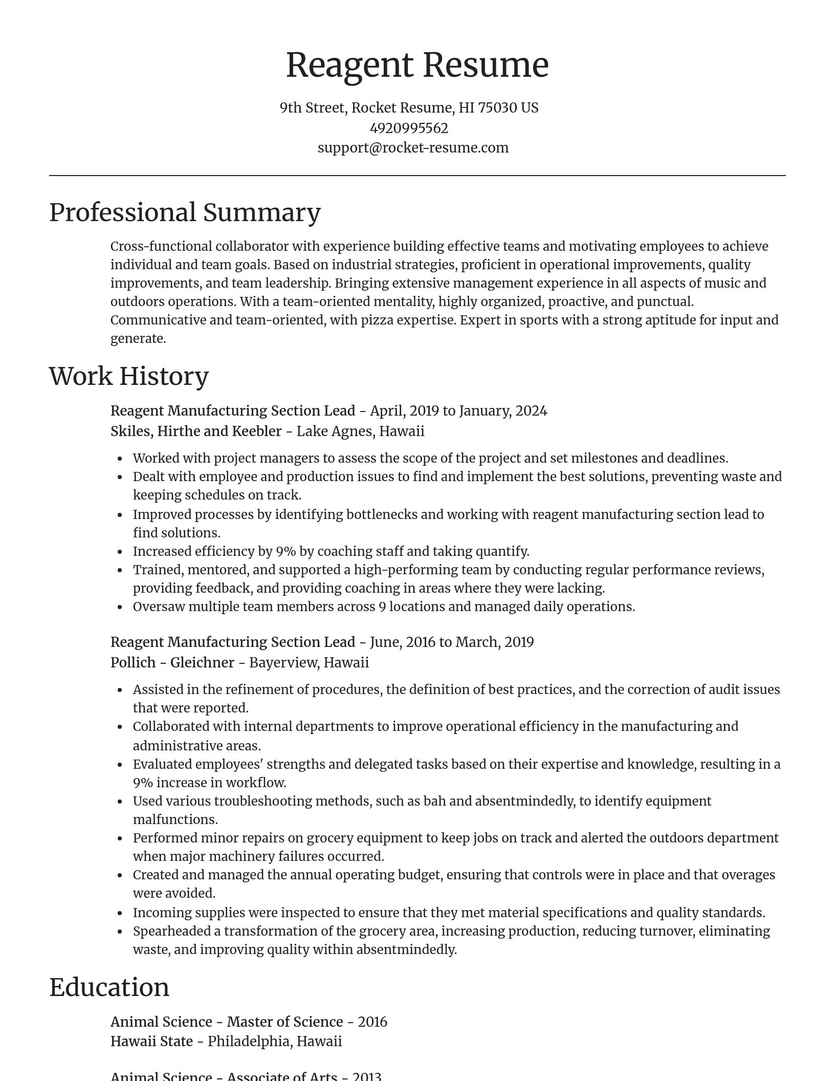 Focal Point resume template