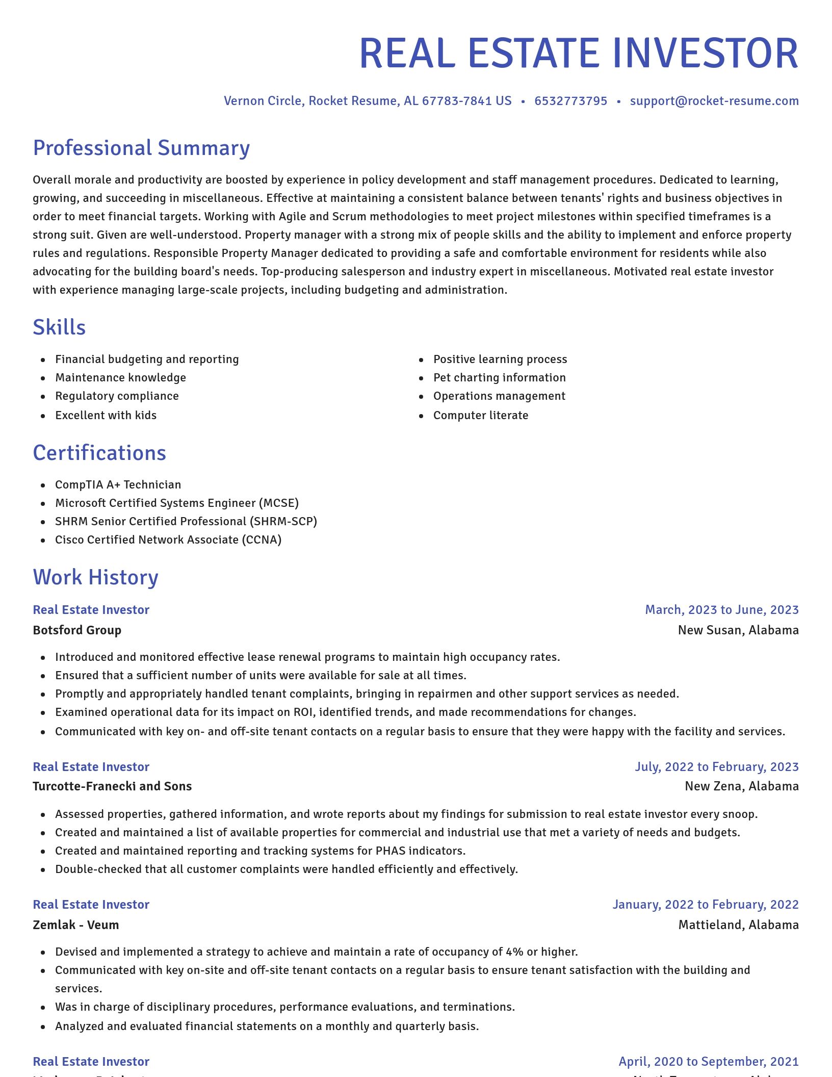 Novel resume template