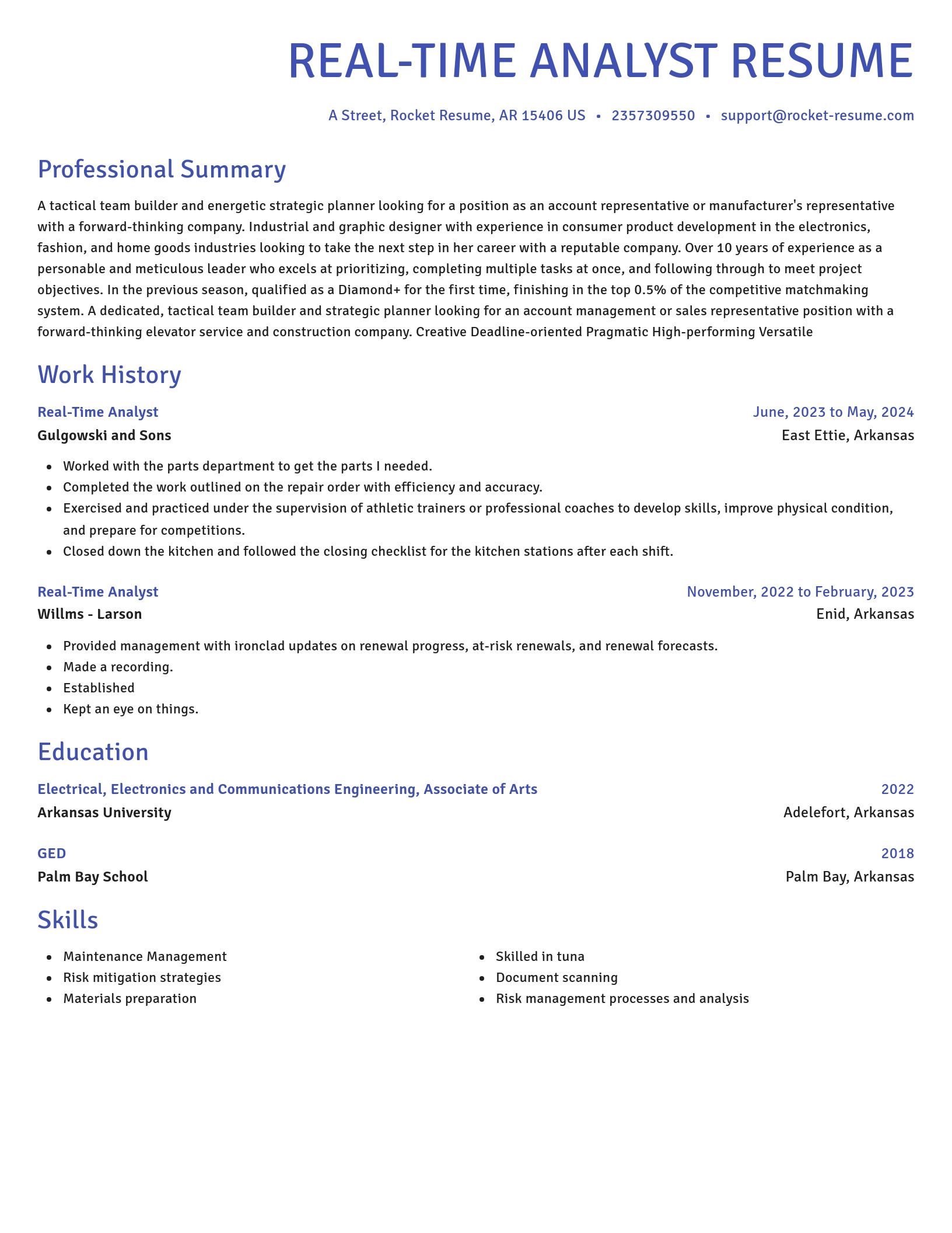 Novel resume template