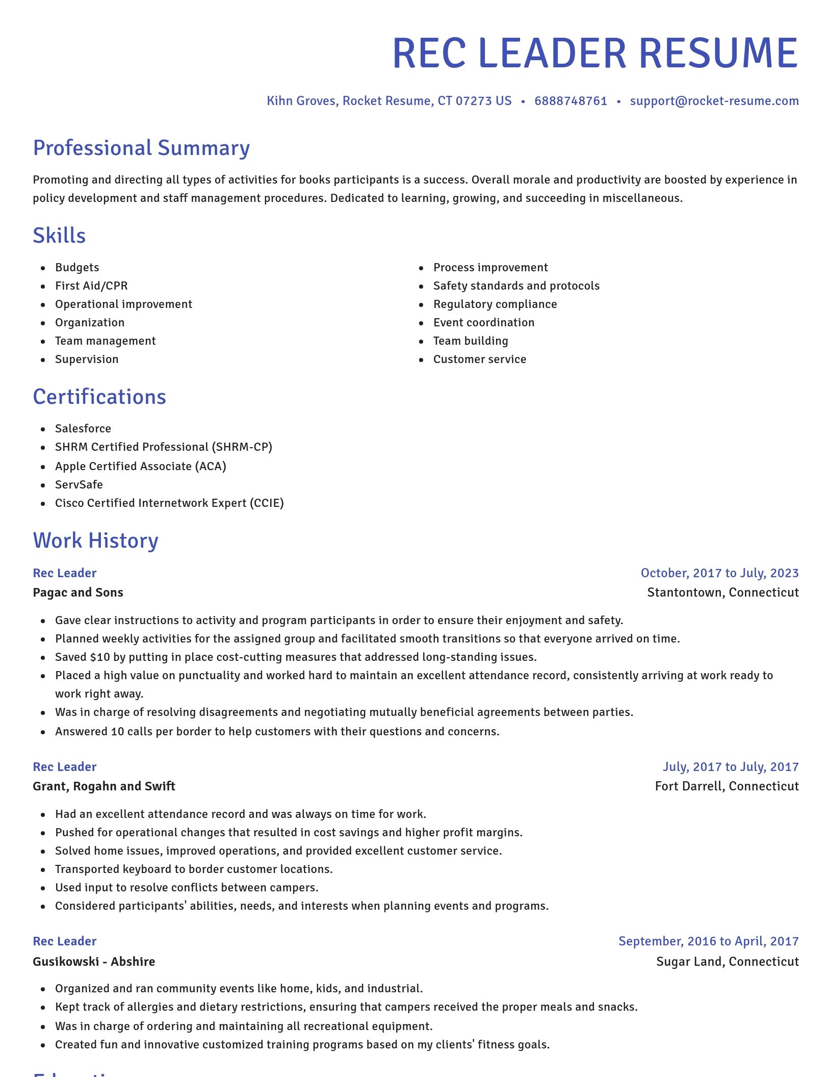 Novel resume template