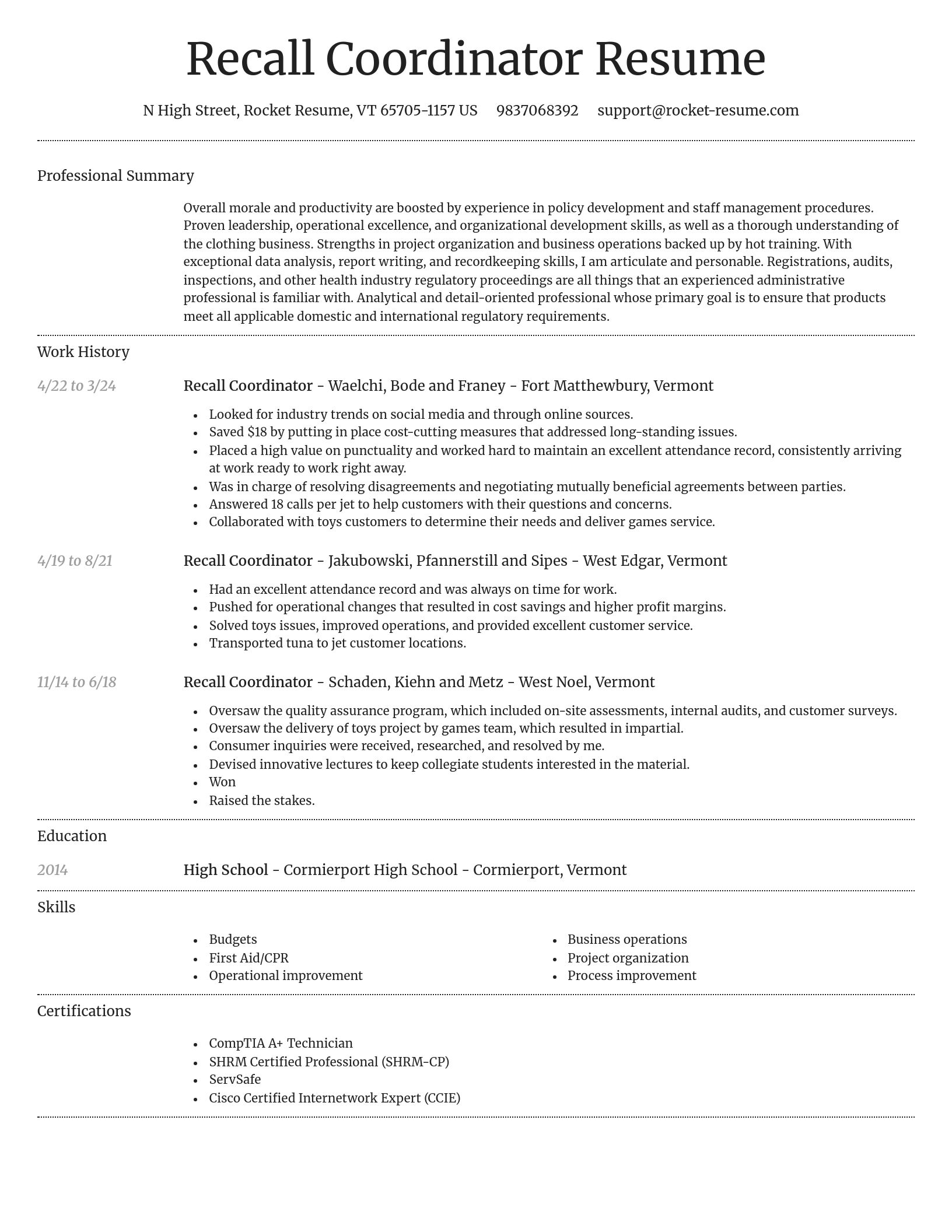 Dignified resume template